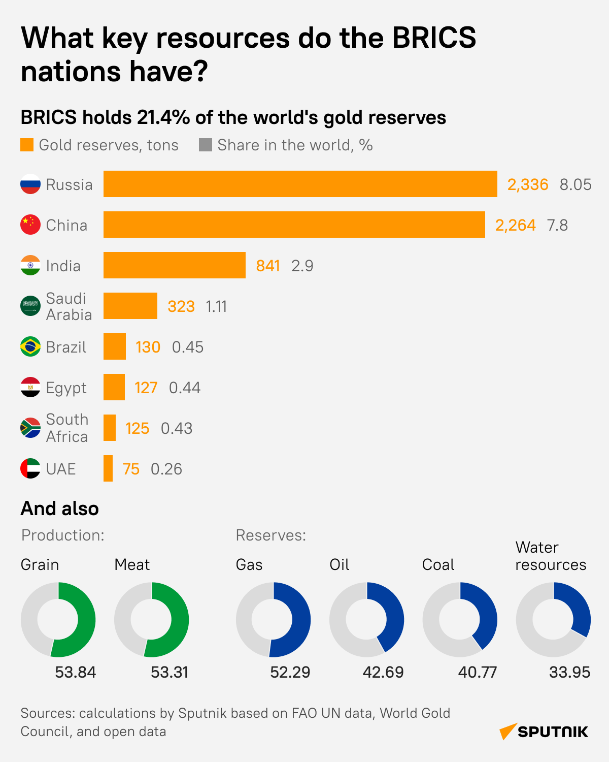 BRICS reserves desk - Sputnik International