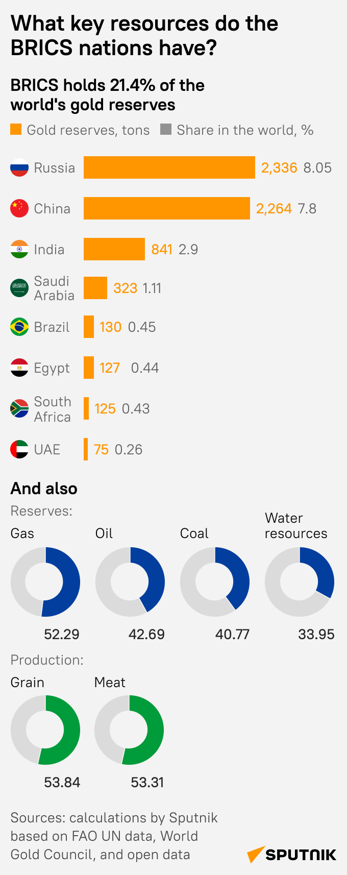 BRICS reserves mob - Sputnik International