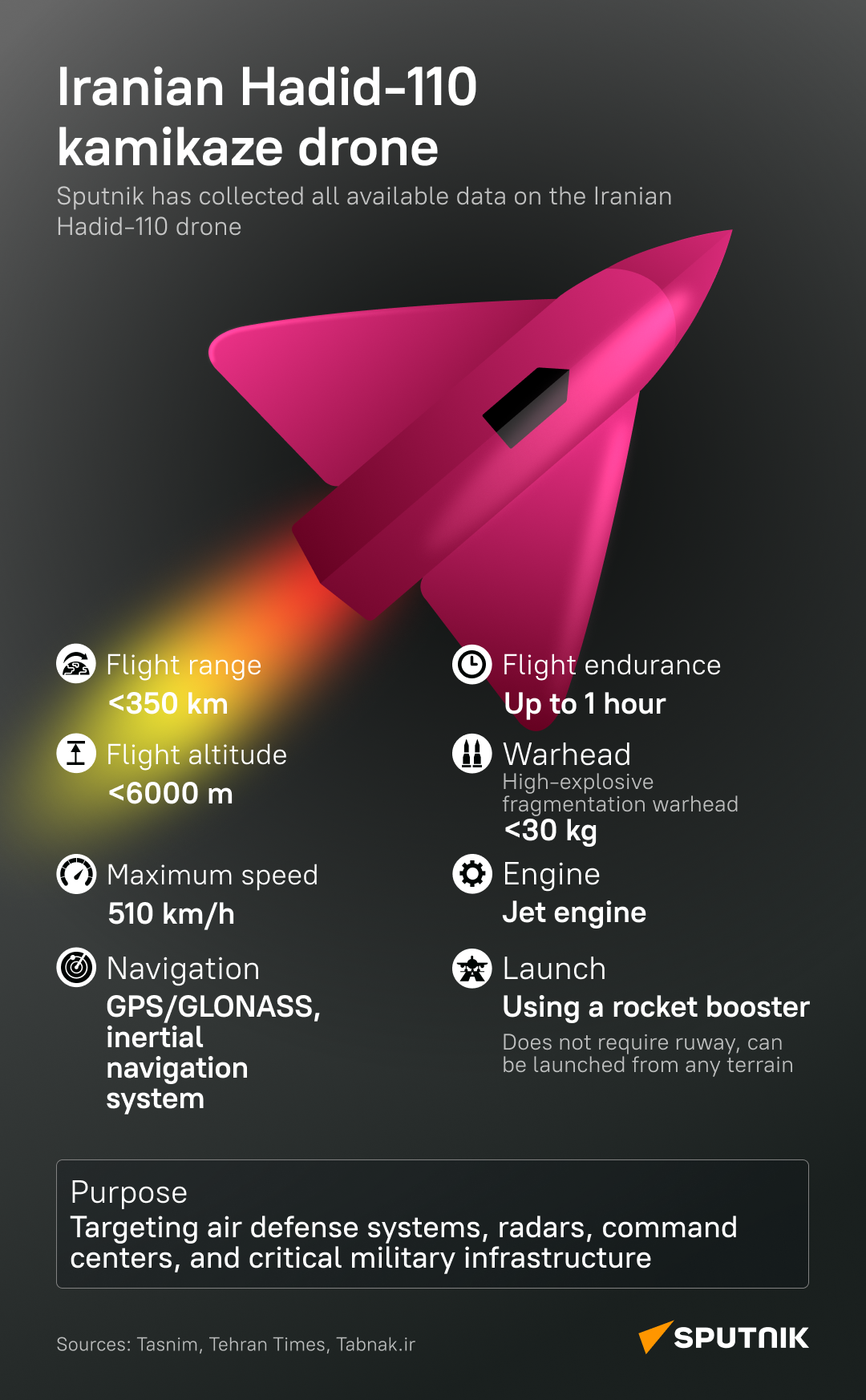 Iranian Hadid-110 drone - Sputnik International