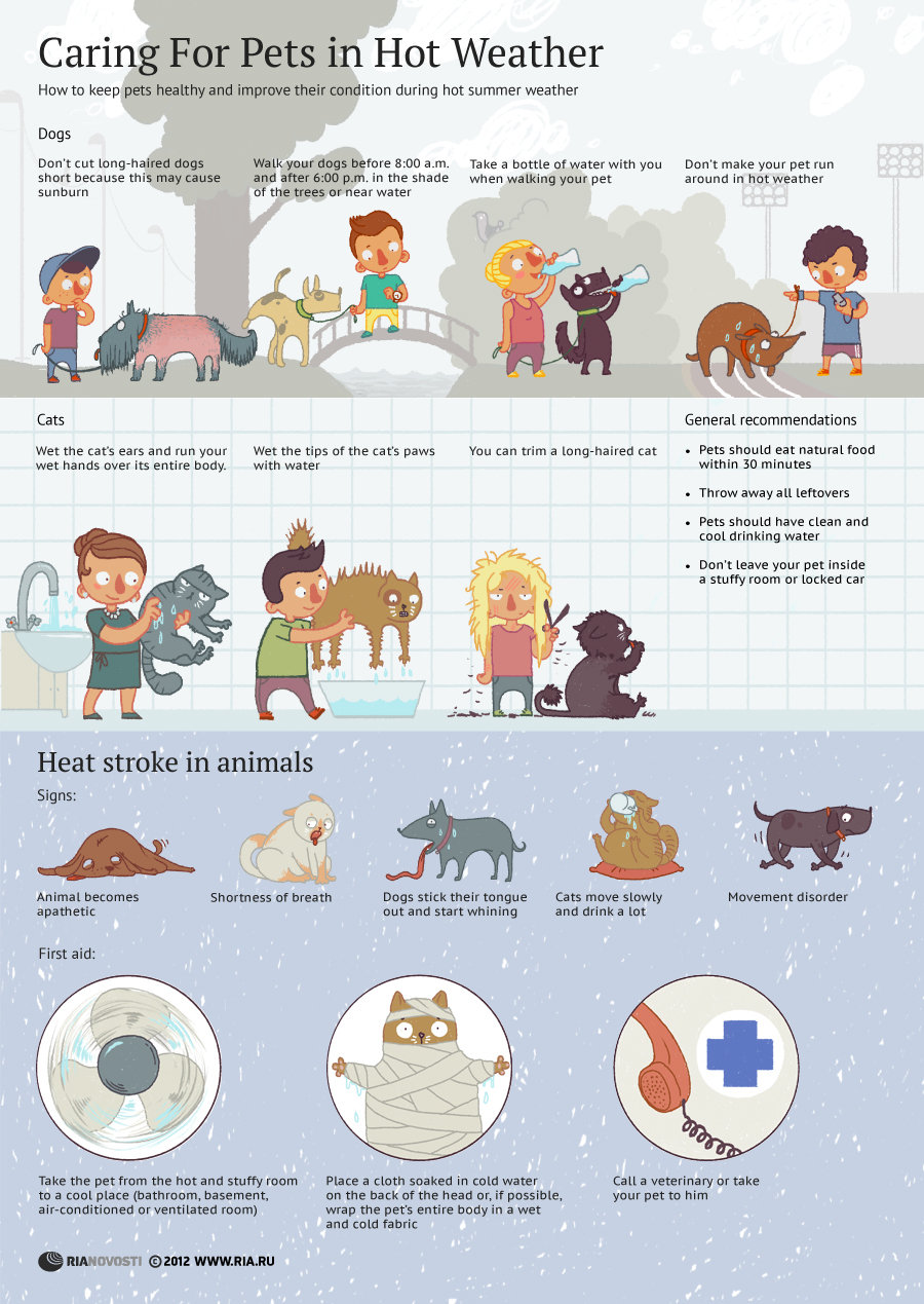 Caring For Pets in Hot Weather - Sputnik International