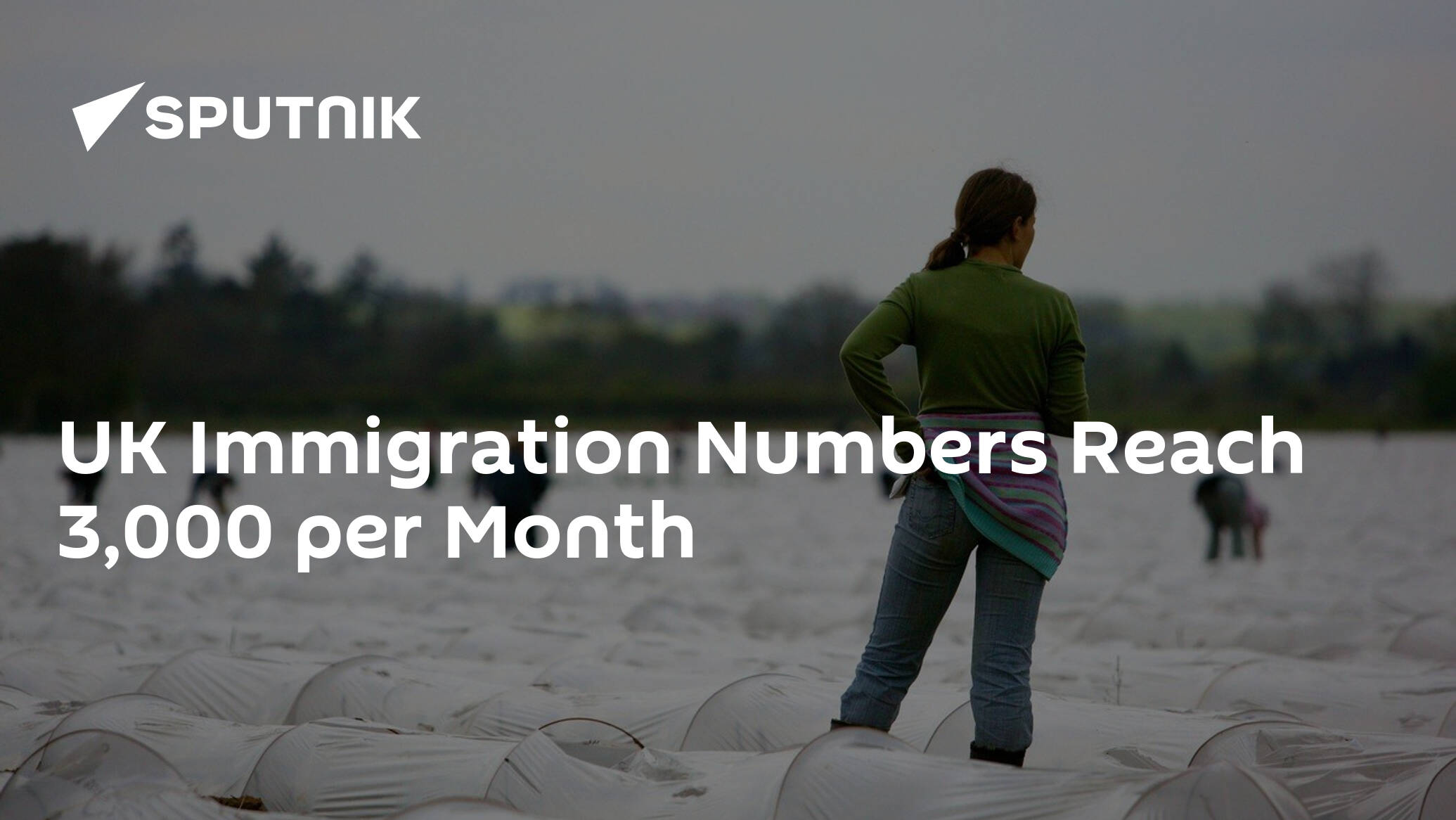 UK Immigration Numbers Reach 3,000 per Month 19.12.2014, Sputnik