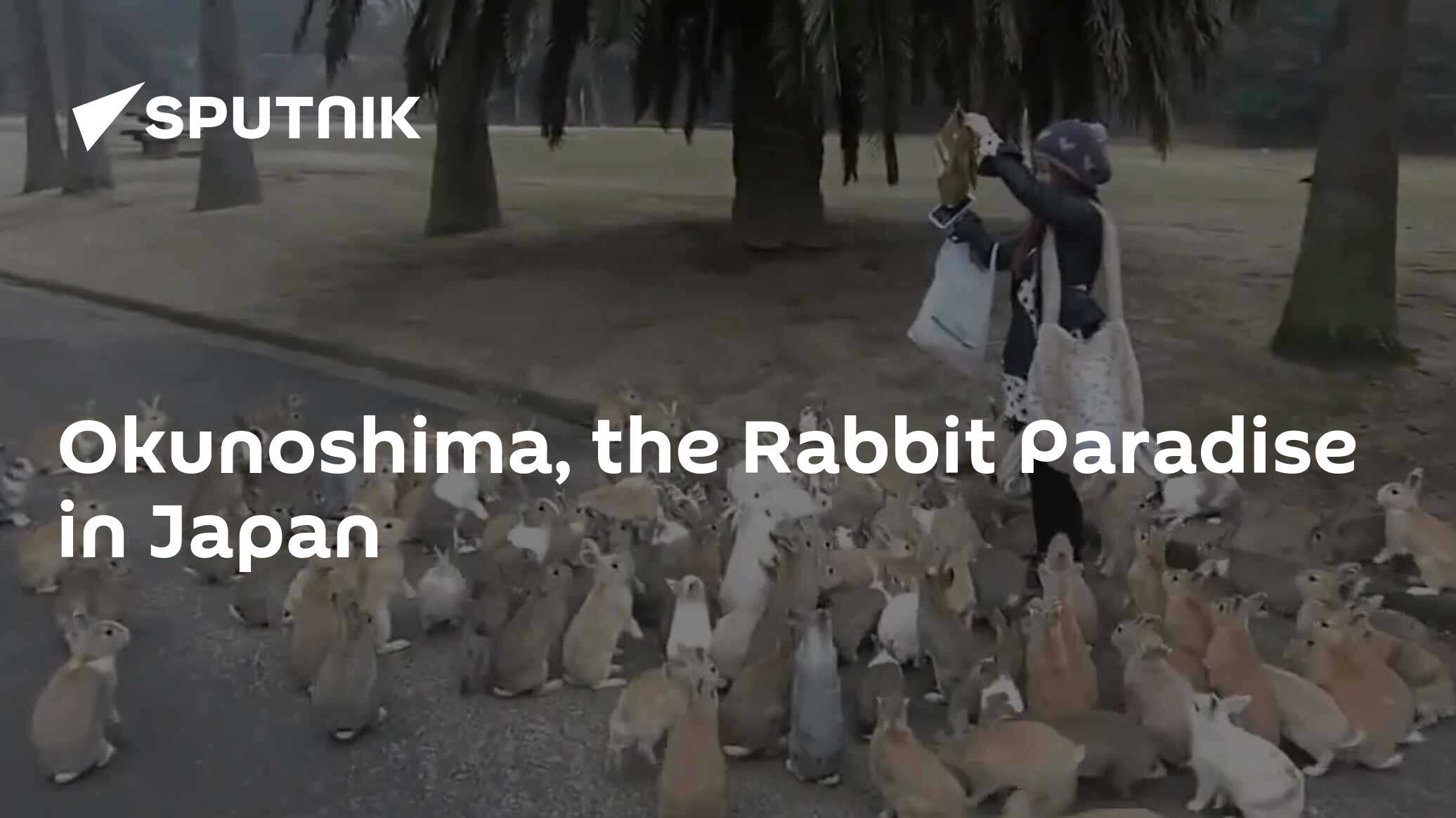 Okunoshima, the Rabbit Paradise in Japan - 26.05.2015, Sputnik ...
