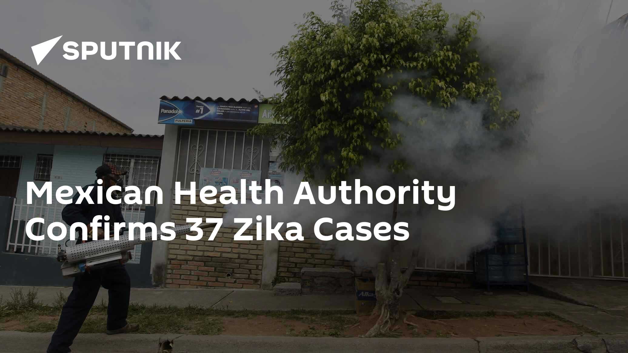 Mexican Health Authority Confirms 37 Zika Cases 02 02 2016 Sputnik   1034120774 