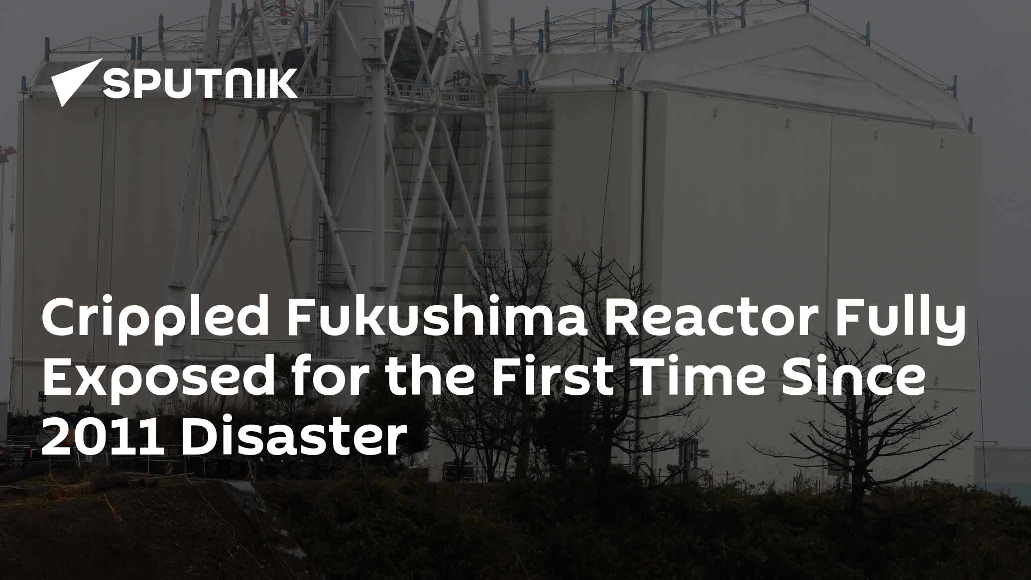 Crippled Fukushima Reactor Fully Exposed for the First Time Since 2011 ...