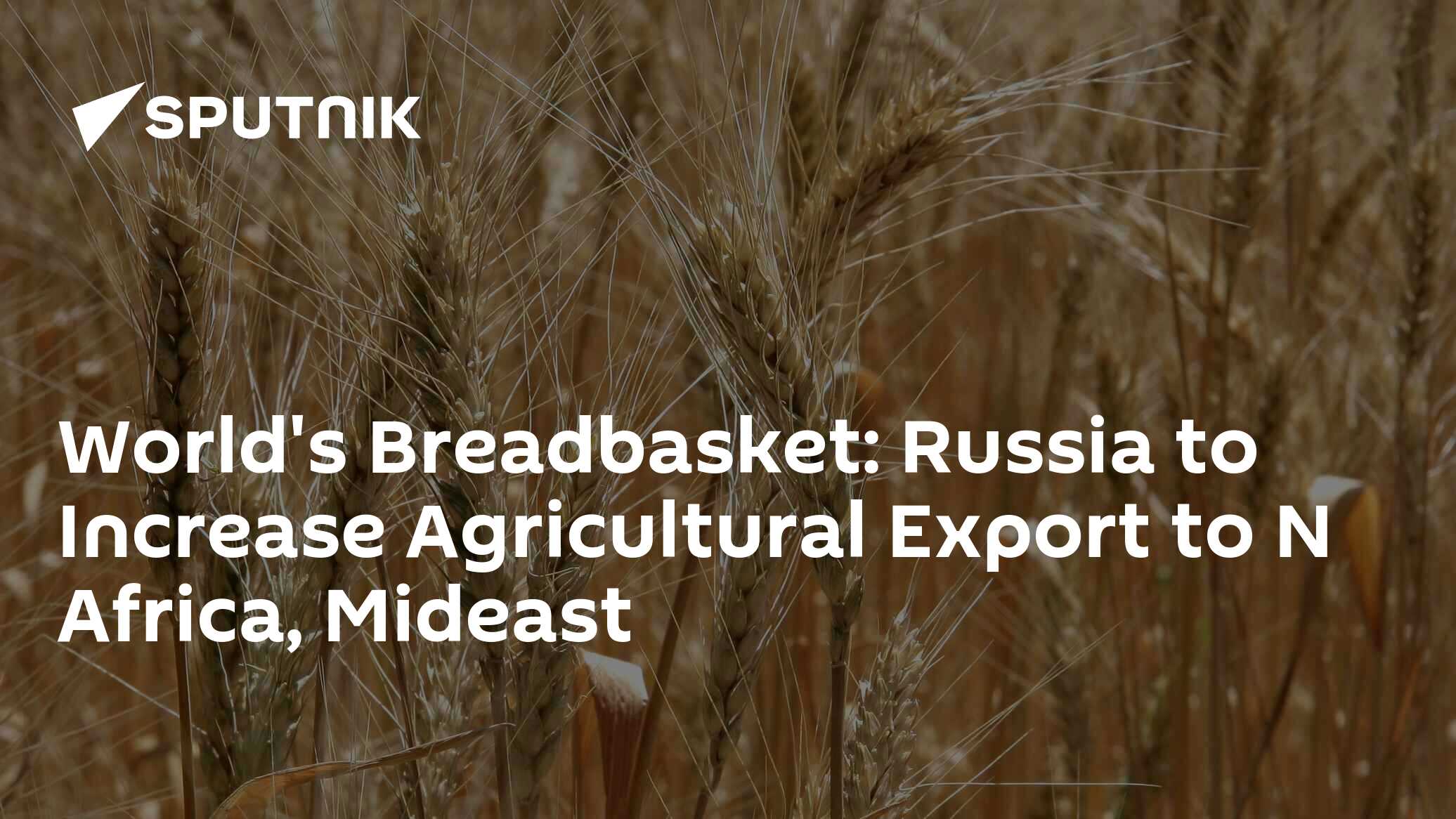 World's Breadbasket Russia to Increase Agricultural Export to N Africa