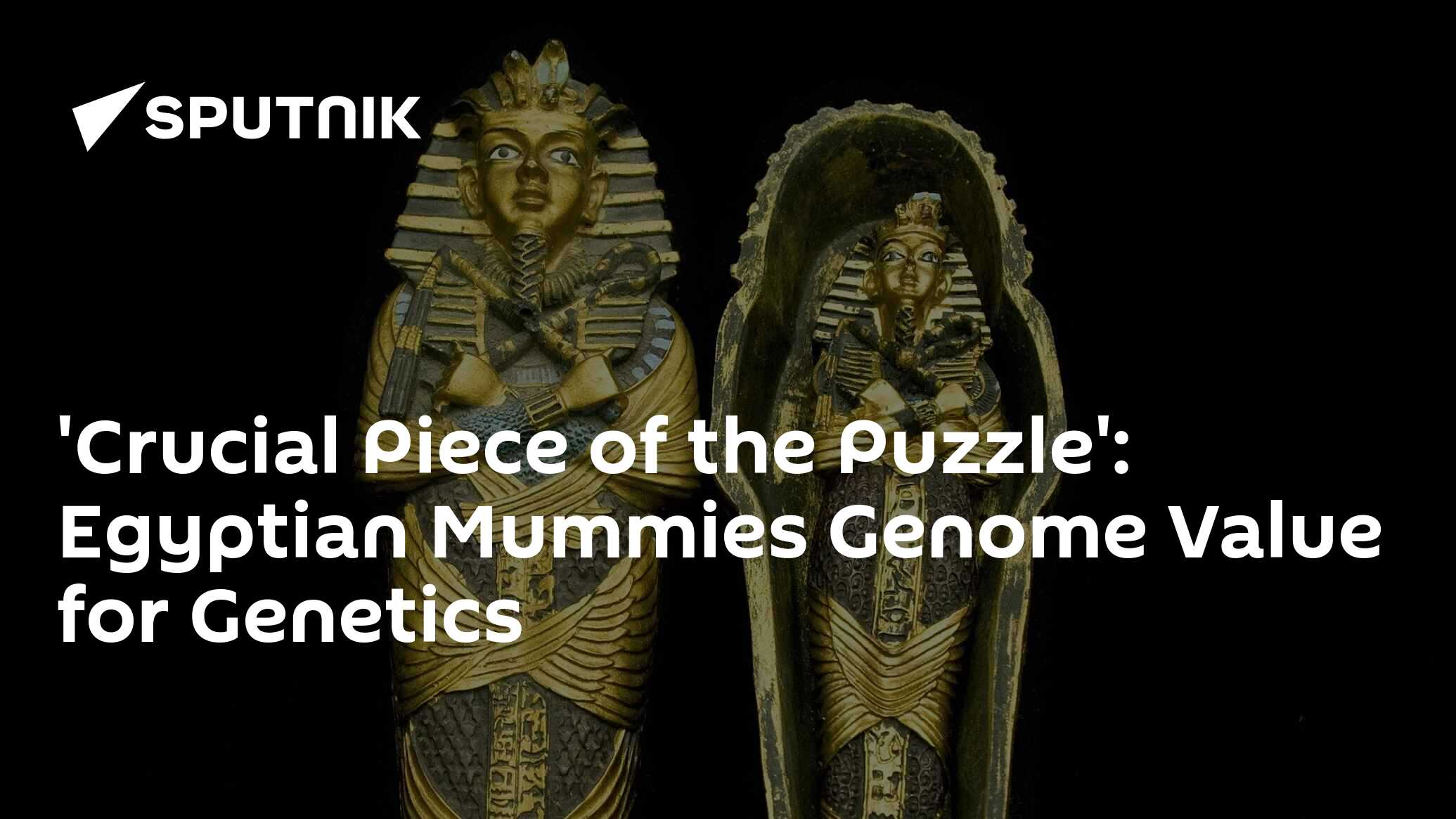 Crucial Piece Of The Puzzle Egyptian Mummies Genome Value For Genetics 31 05 2017 Sputnik