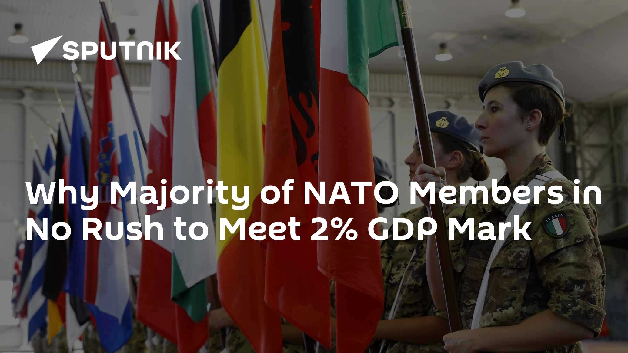 Why Majority of NATO Members in No Rush to Meet 2% GDP Mark