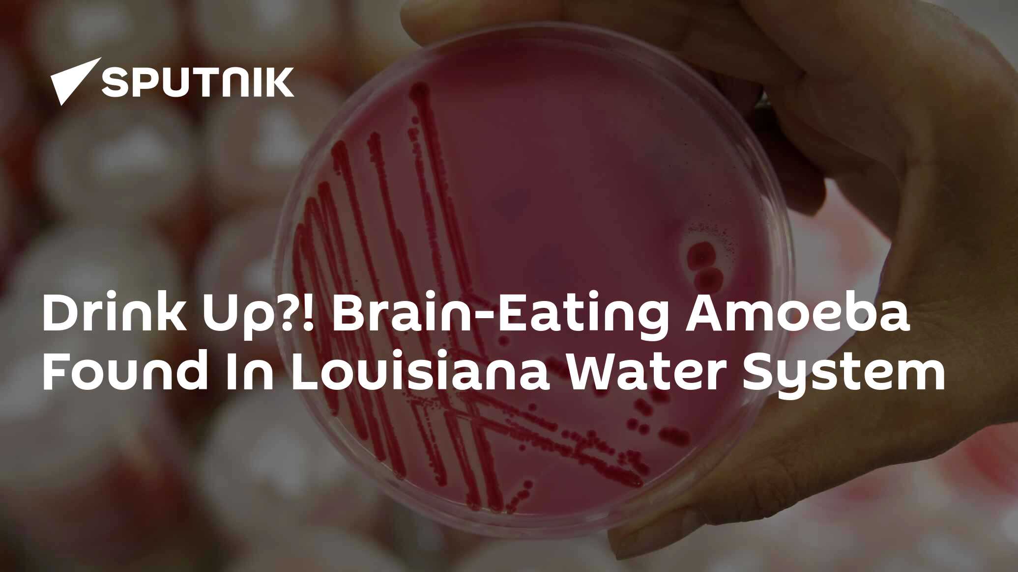 Drink Up?! Brain-Eating Amoeba Found In Louisiana Water System - 30.06. ...
