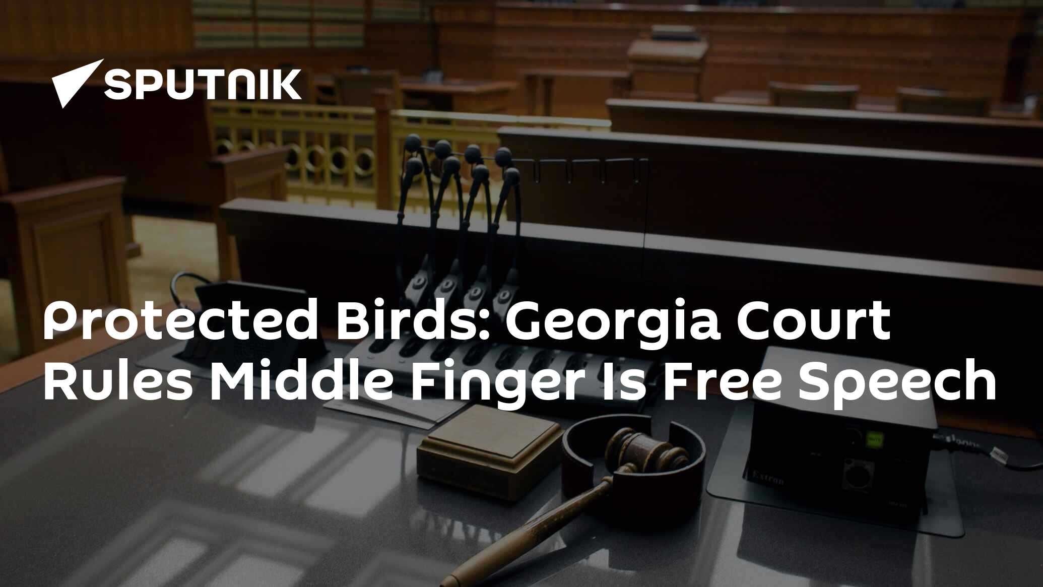 Protected Birds Court Rules Middle Finger Is Free Speech 02.