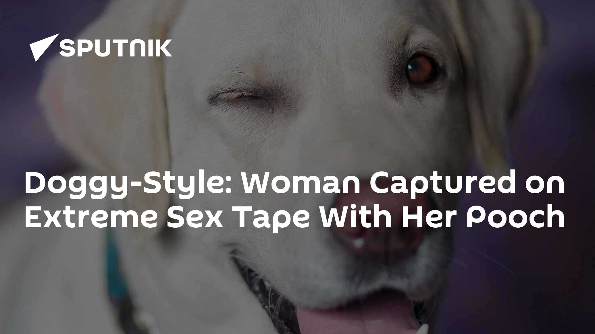 Doggy-Style: Woman Captured on Extreme Sex Tape With Her Pooch -  10.01.2018, Sputnik International