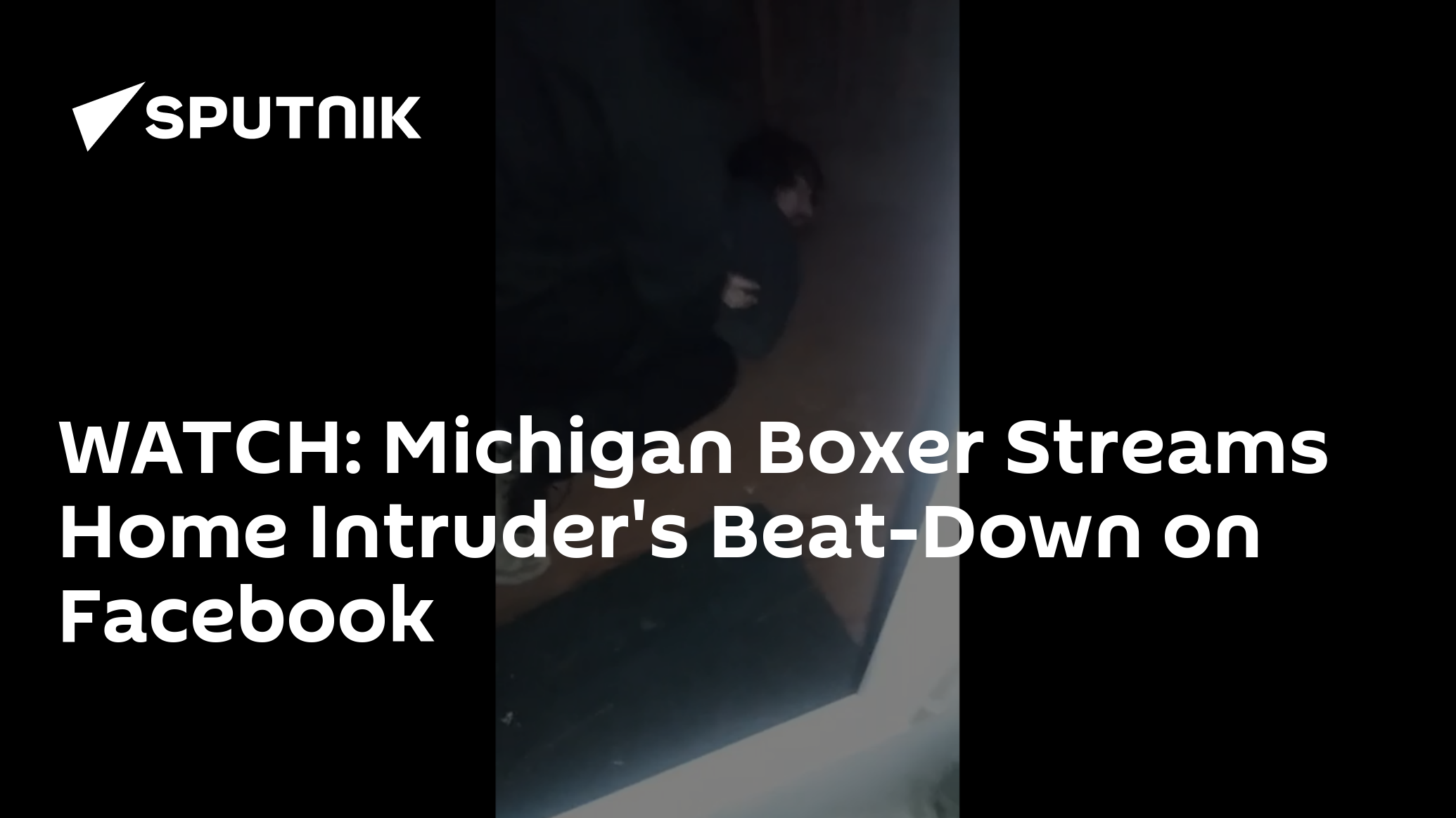 WATCH Michigan Boxer Streams Home Intruder's BeatDown on Facebook 06.04.2018, Sputnik
