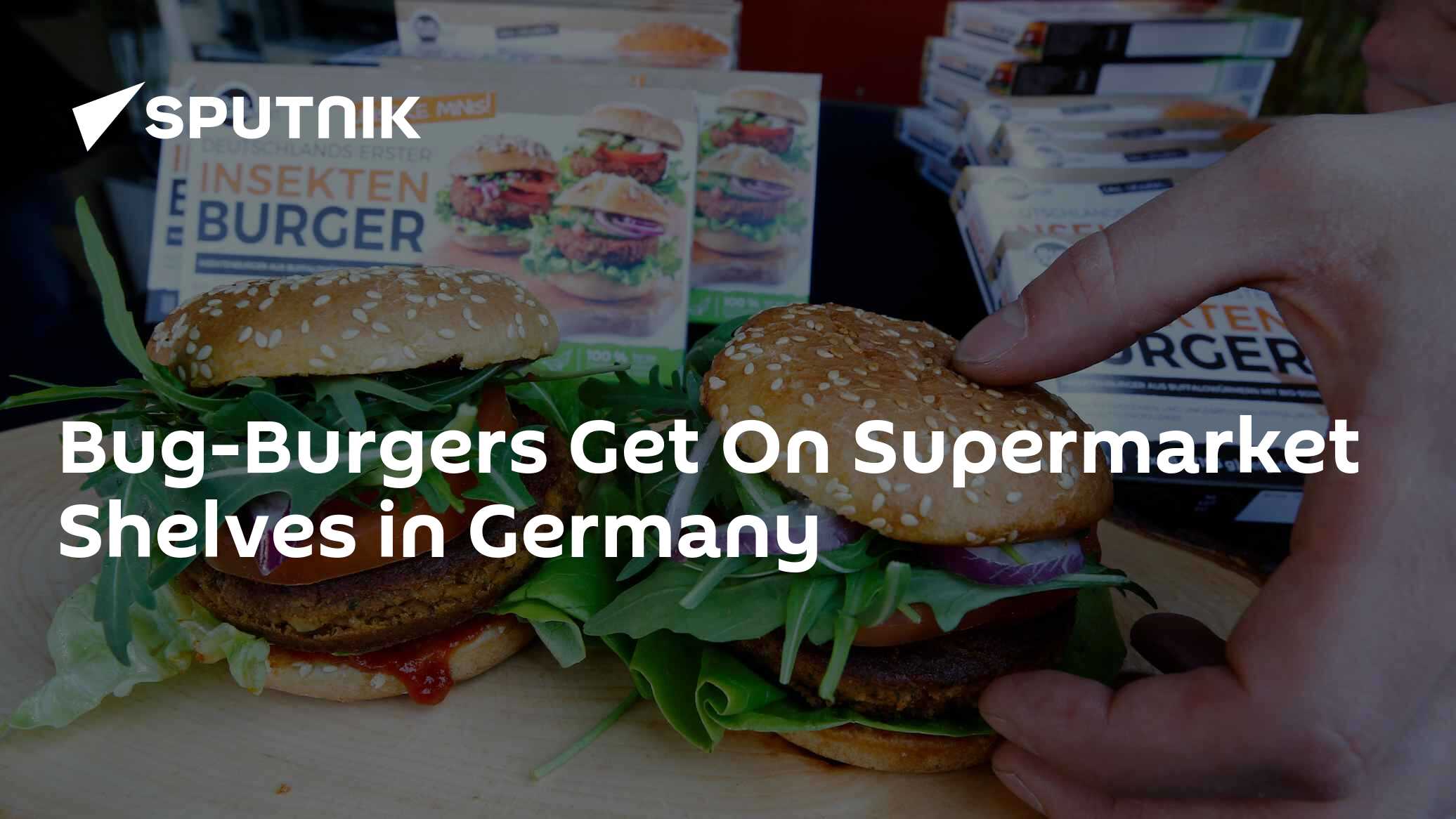 Bug-Burgers Get On Supermarket Shelves in Germany