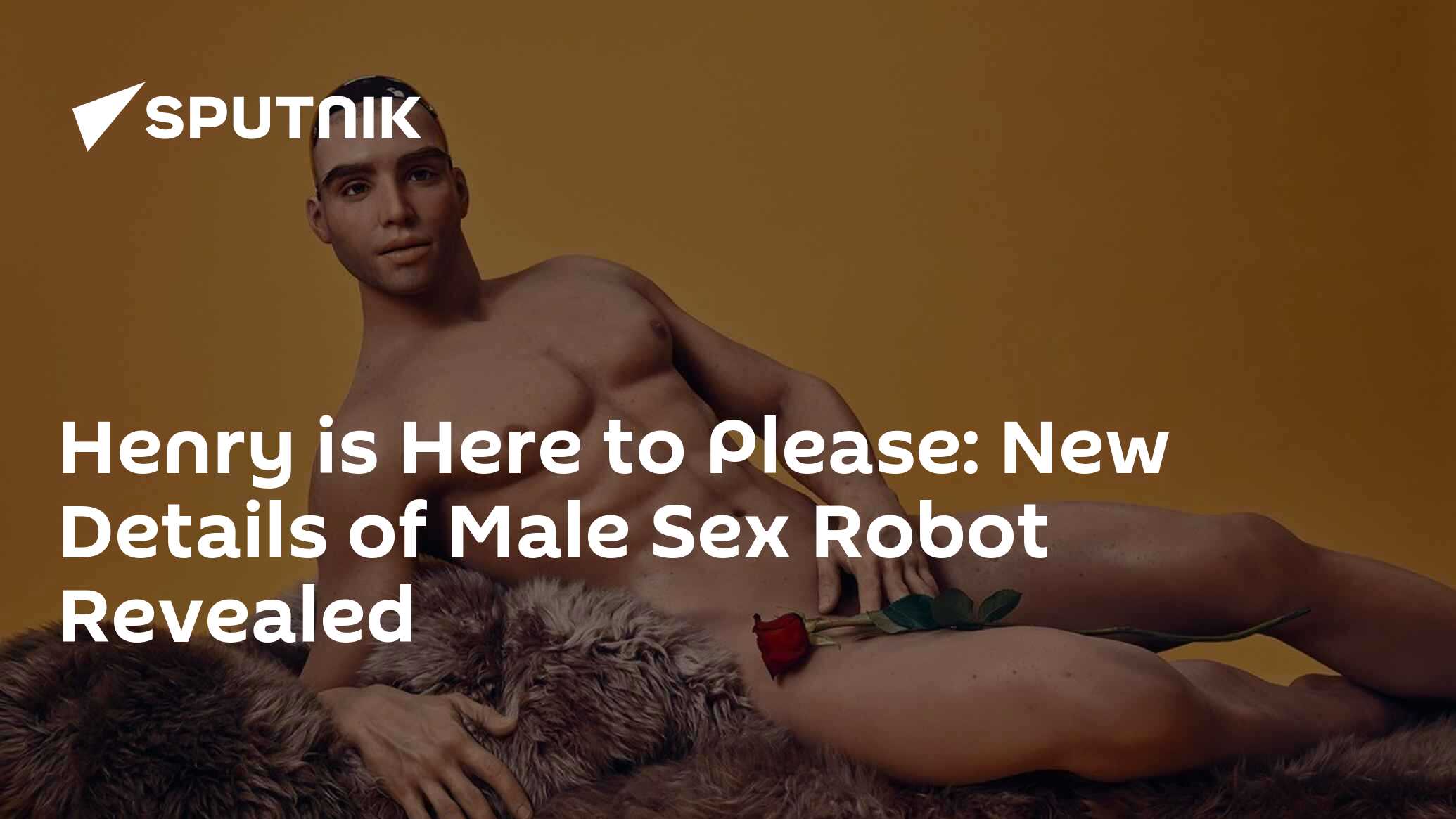 Henry is Here to Please: New Details of Male Sex Robot Revealed -  19.05.2018, Sputnik International