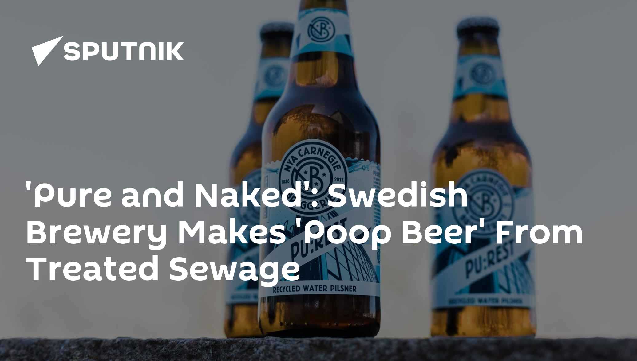 'Pure and Naked': Swedish Brewery Makes 'Poop Beer' From Treated Sewage - 28.05.2018, Sputnik International