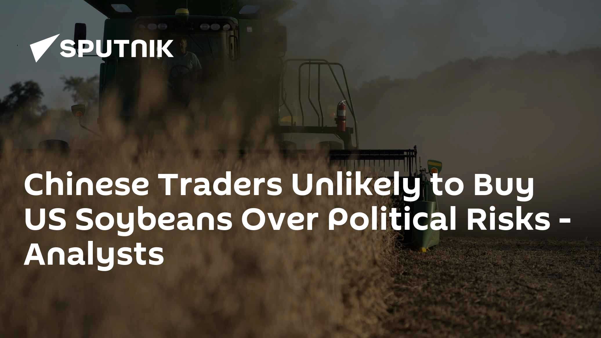 Chinese Traders Unlikely to Buy US Soybeans Over Political Risks ...