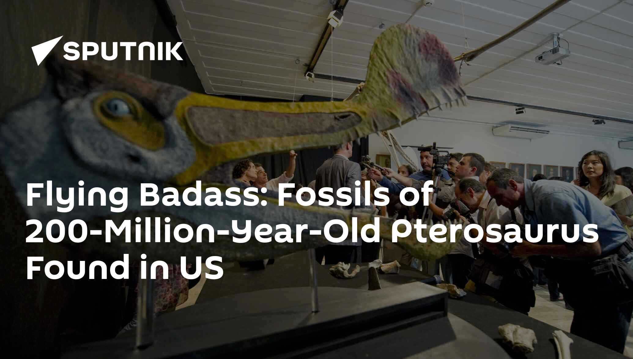 Fossil of oldest pterodactyl discovered in Utah desert