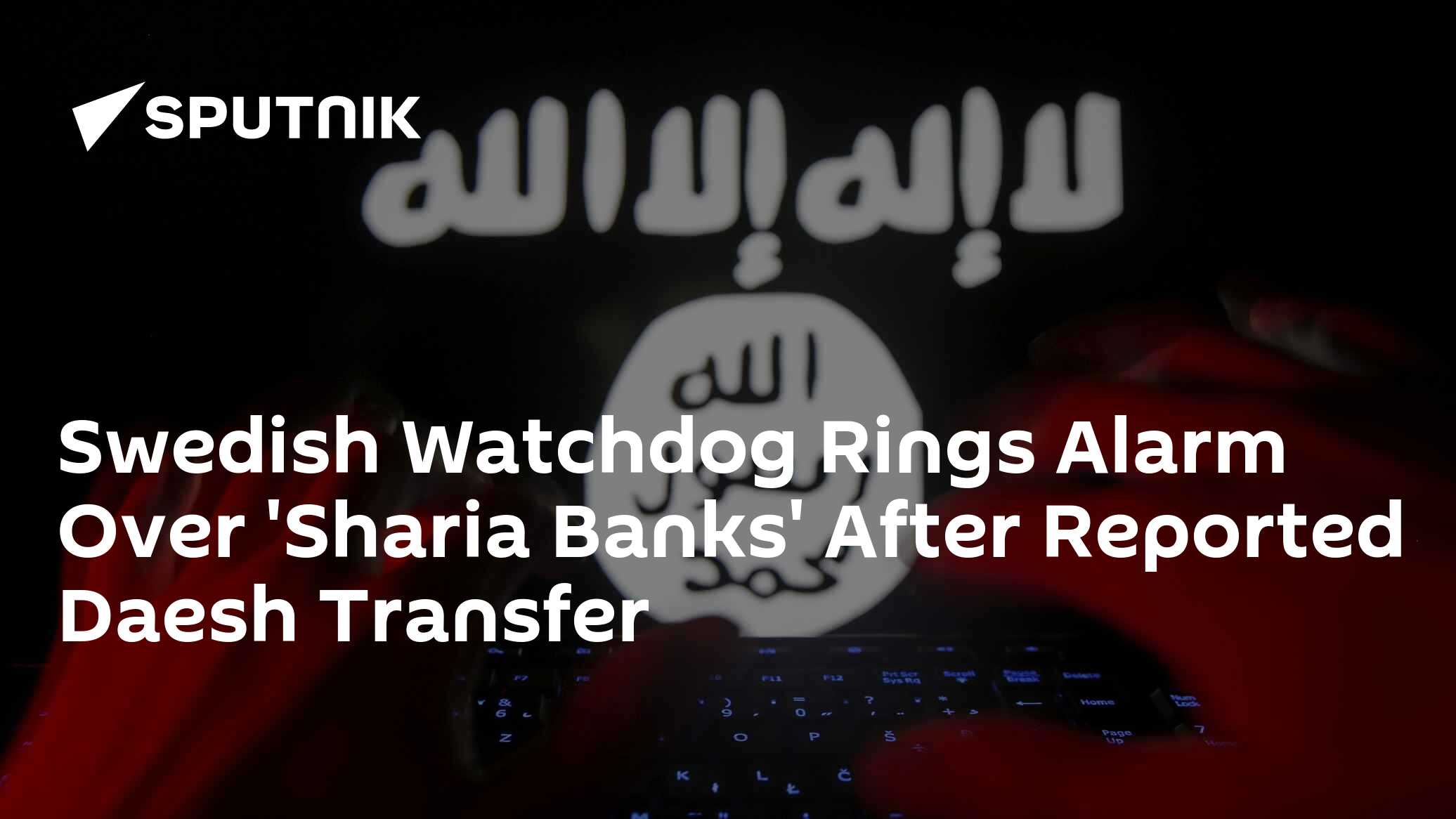 Swedish Watchdog Rings Alarm Over