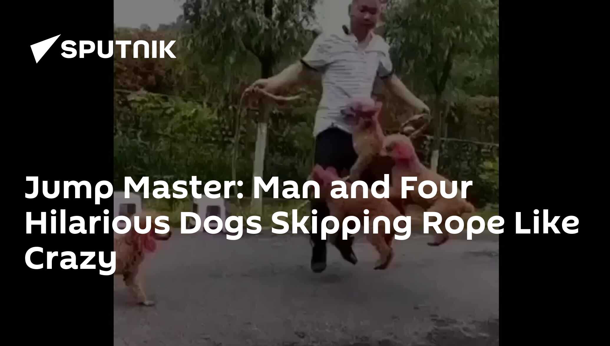 Jump Master Man and Four Hilarious Dogs Skipping Rope Like Crazy 26.