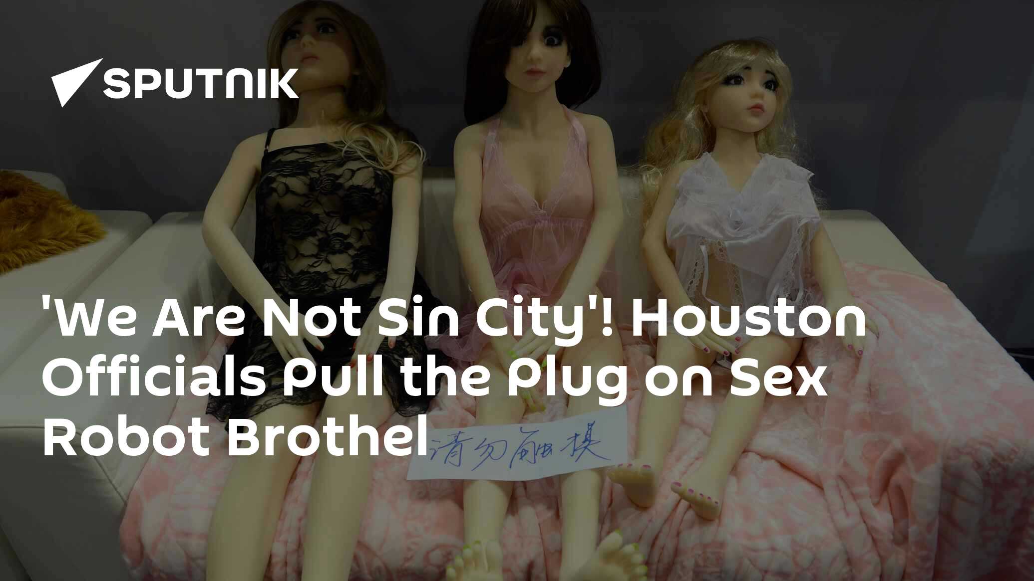 We Are Not Sin City Houston Officials Pull the Plug on Sex Robot