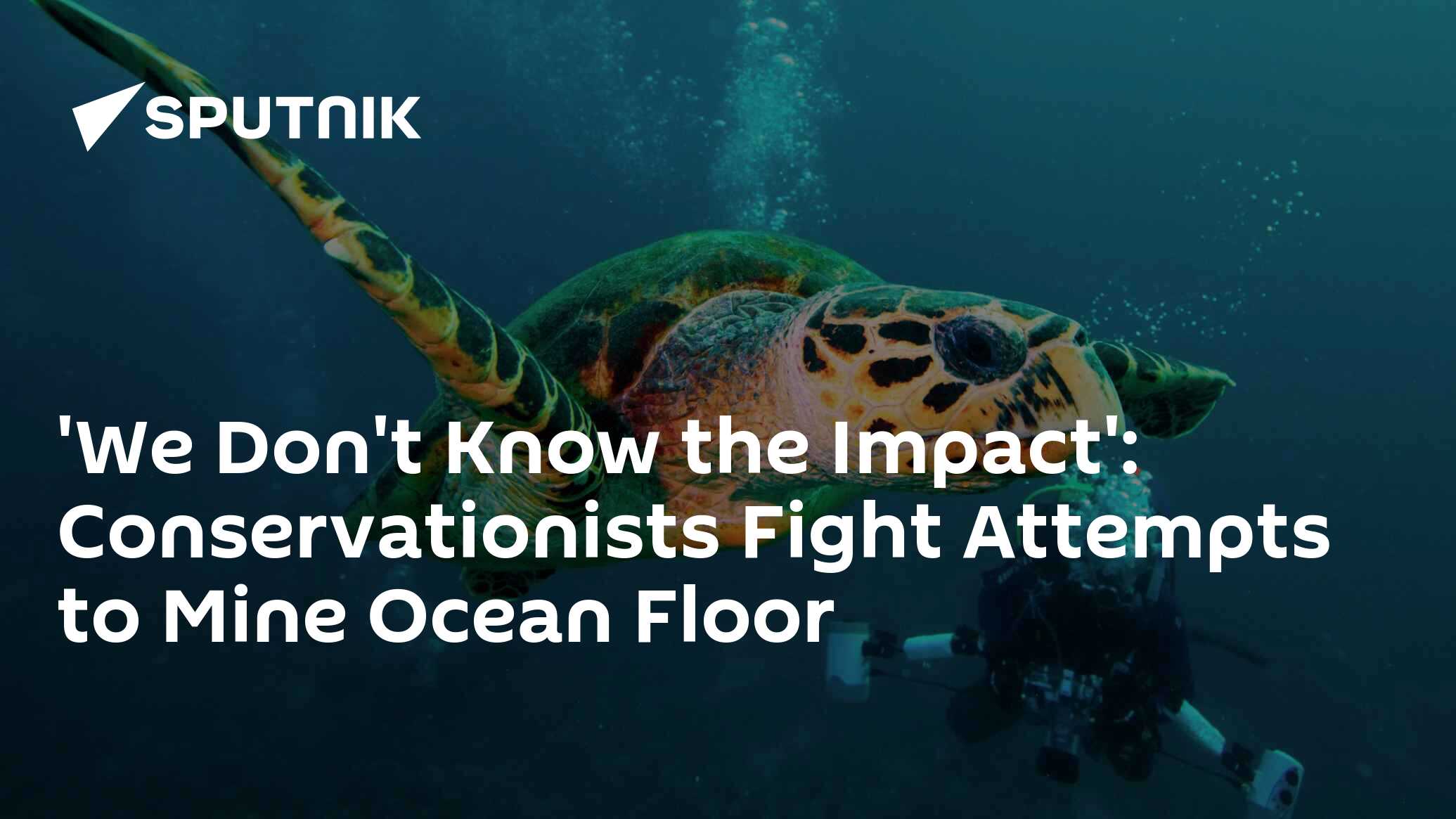 'we don't know the impact': conservationists fight attempts to mine ocean floor