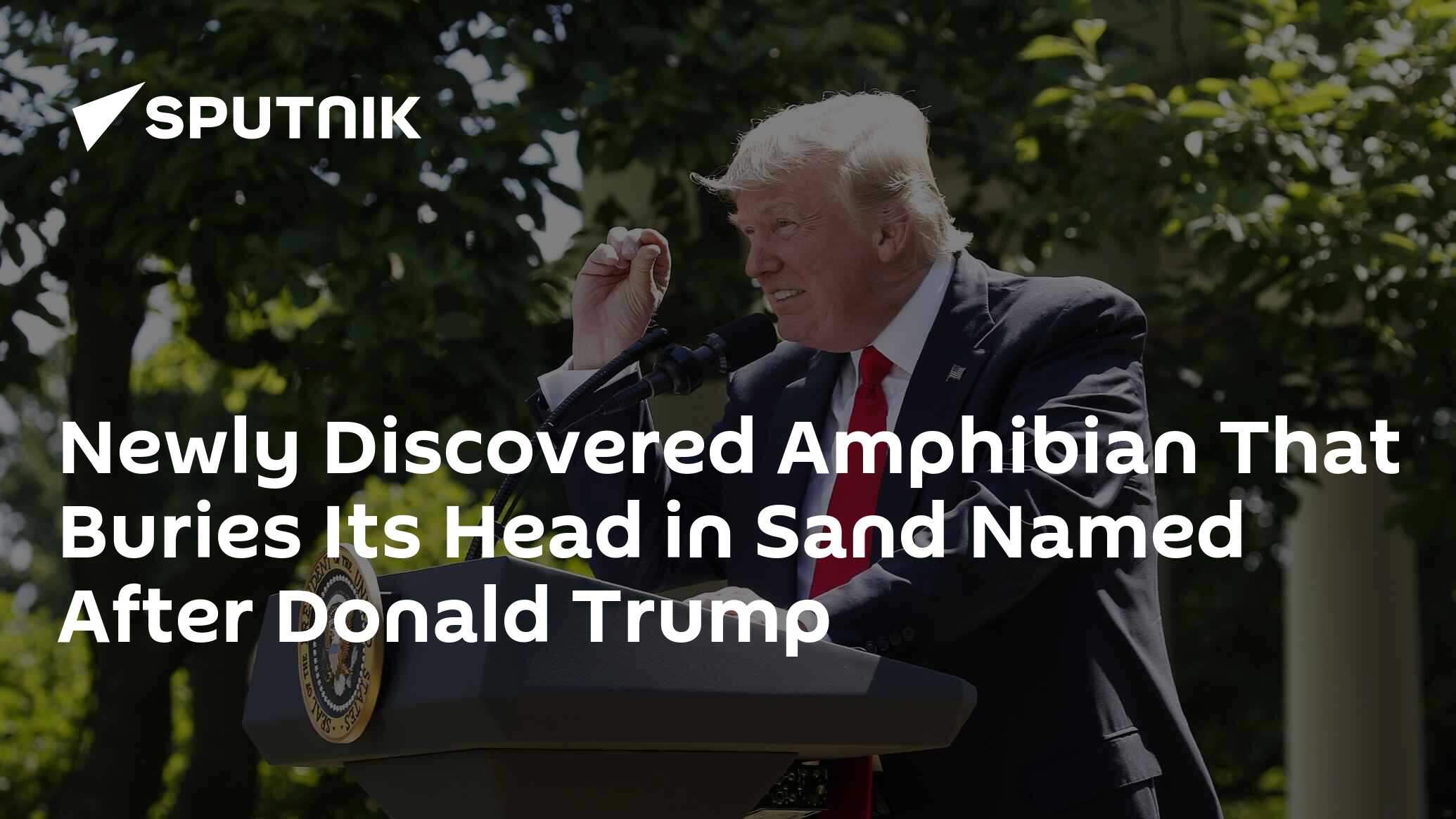 Newly Discovered Amphibian That Buries Its Head in Sand Named After