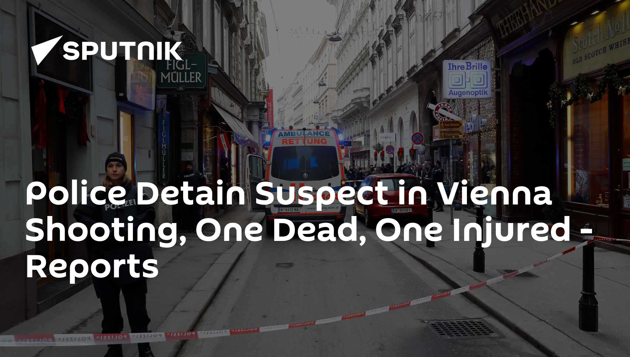 Police Detain Suspeсt In Vienna Shooting, One Dead, One Injured ...