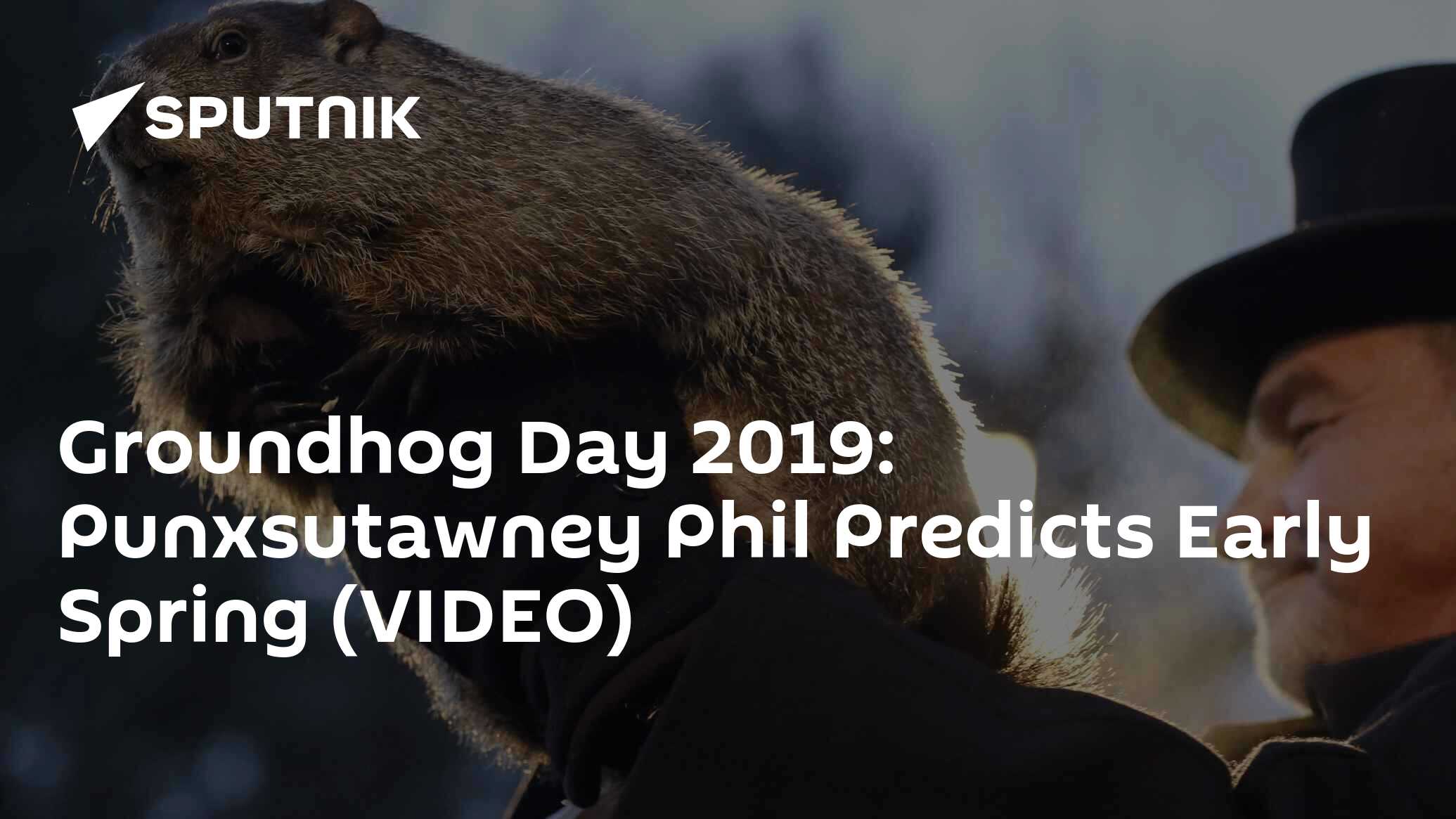 Groundhog Day 2019 Punxsutawney Phil Predicts Early Spring (VIDEO