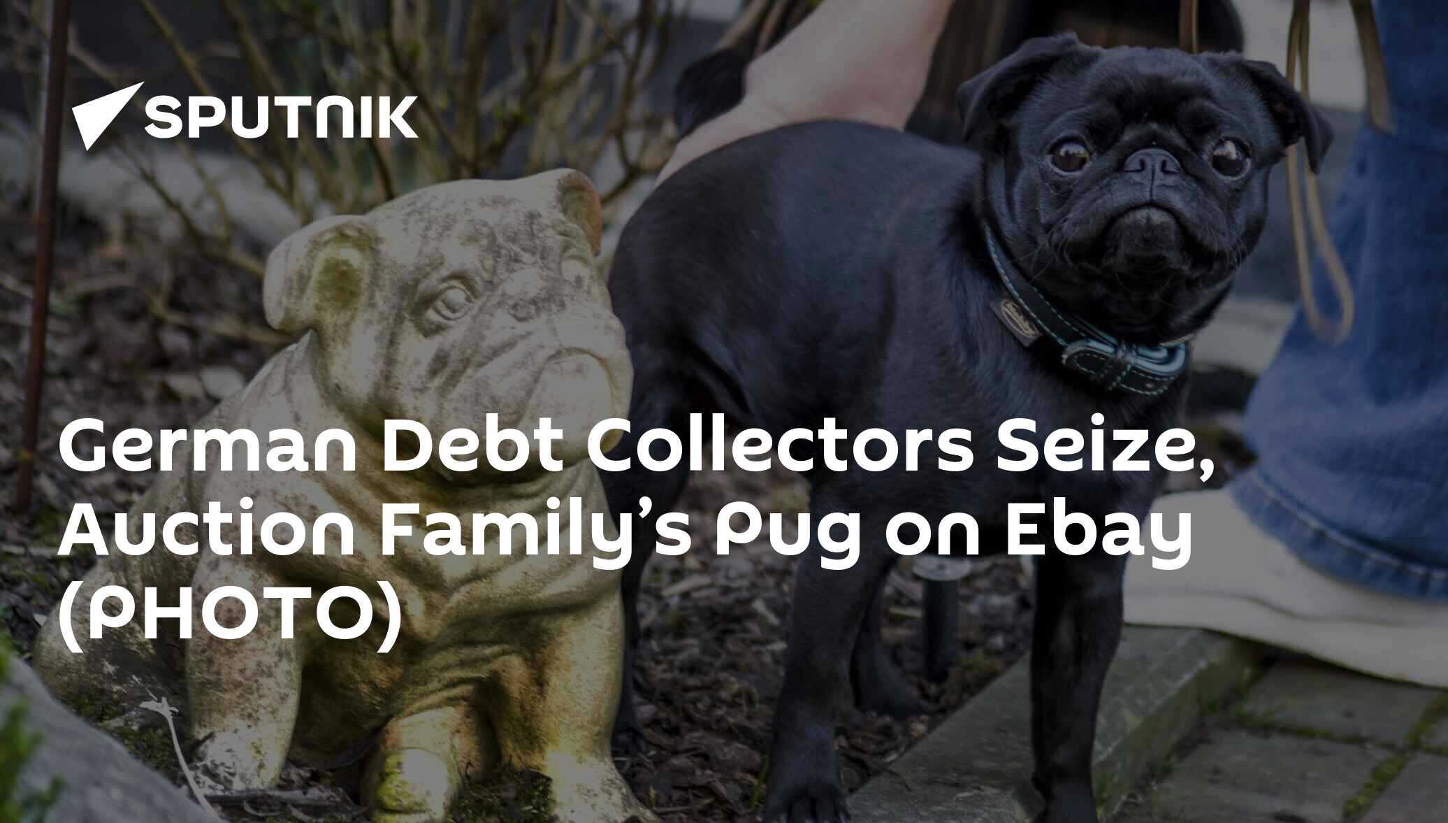 German Debt Collectors Seize, Auction Family’s Pug on Ebay (PHOTO) 01(00)