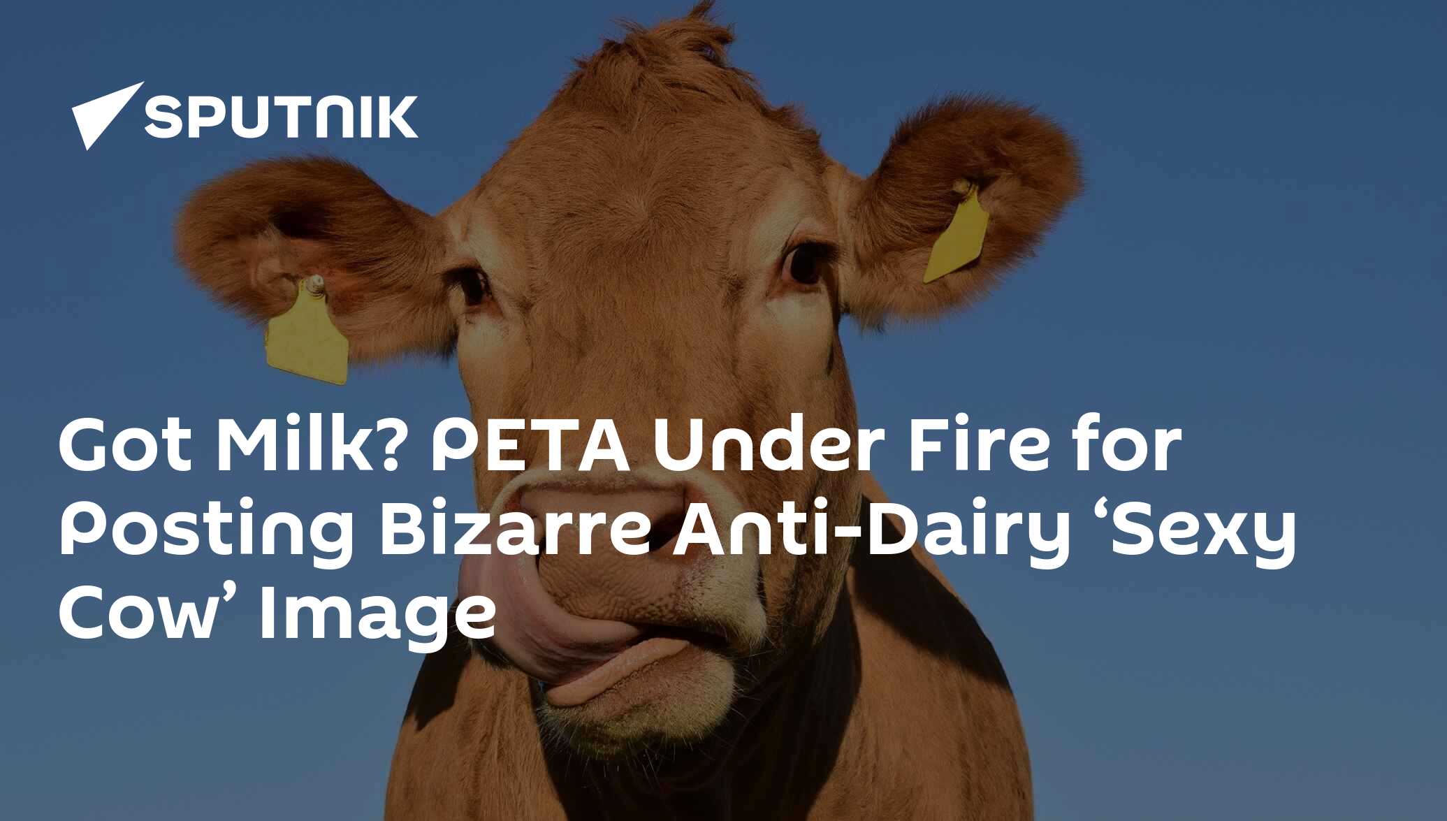 Got Milk? PETA Under Fire for Posting Bizarre AntiDairy ‘Sexy Cow