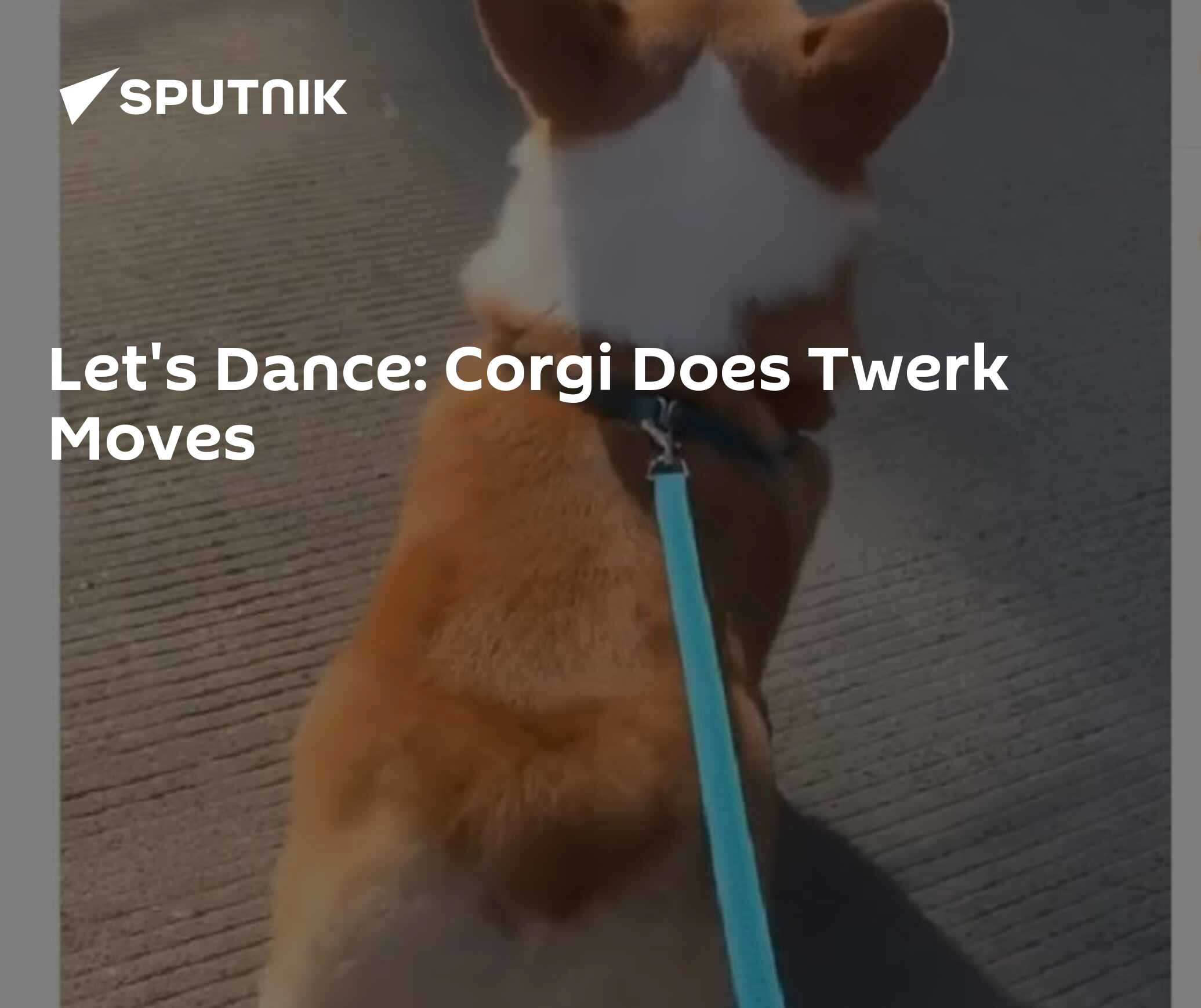 Let's Dance Does Twerk Moves 04.11.2019, Sputnik International