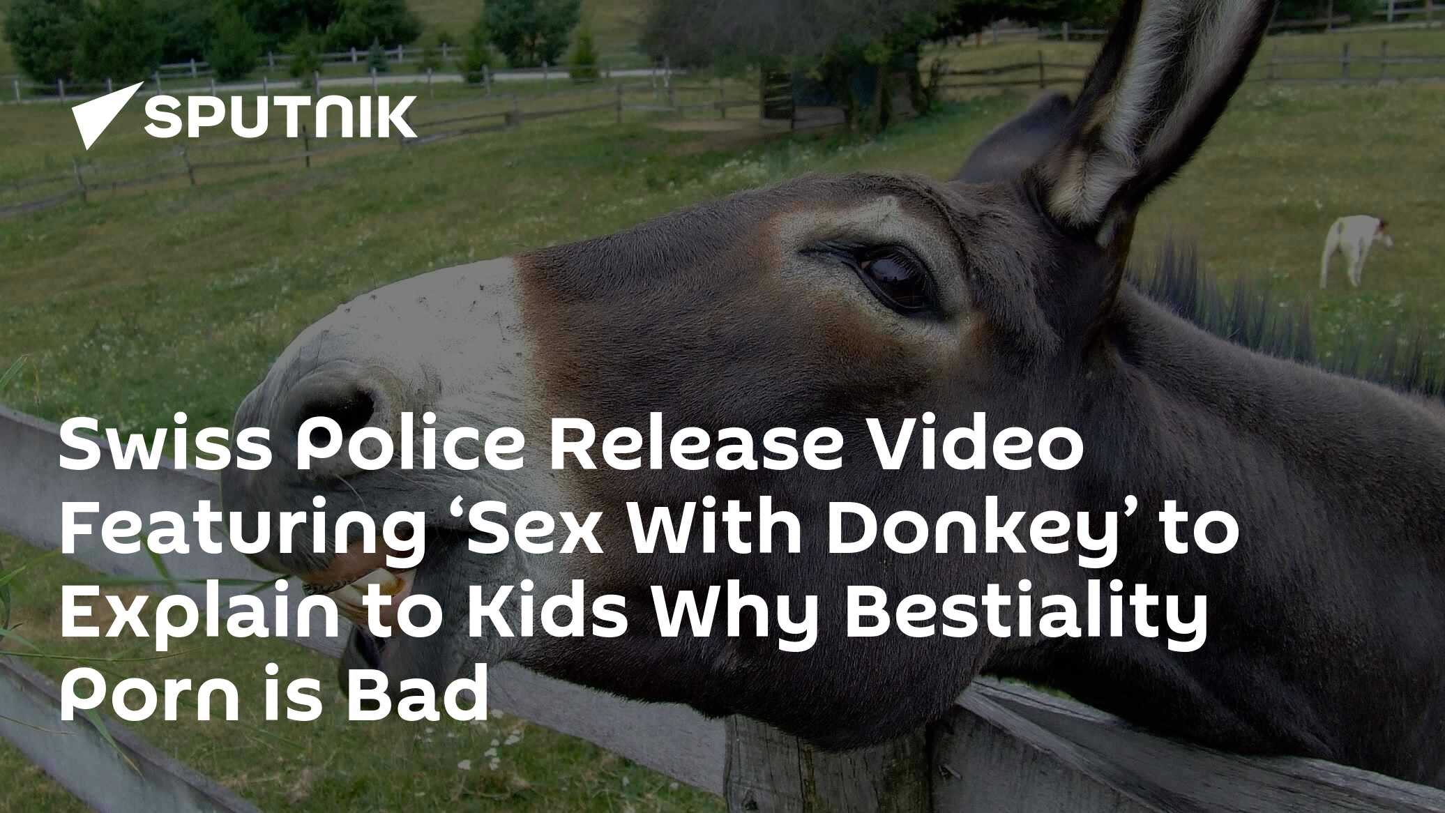 Swiss Police Release Video Featuring ‘Sex With Donkey’ to Explain to
