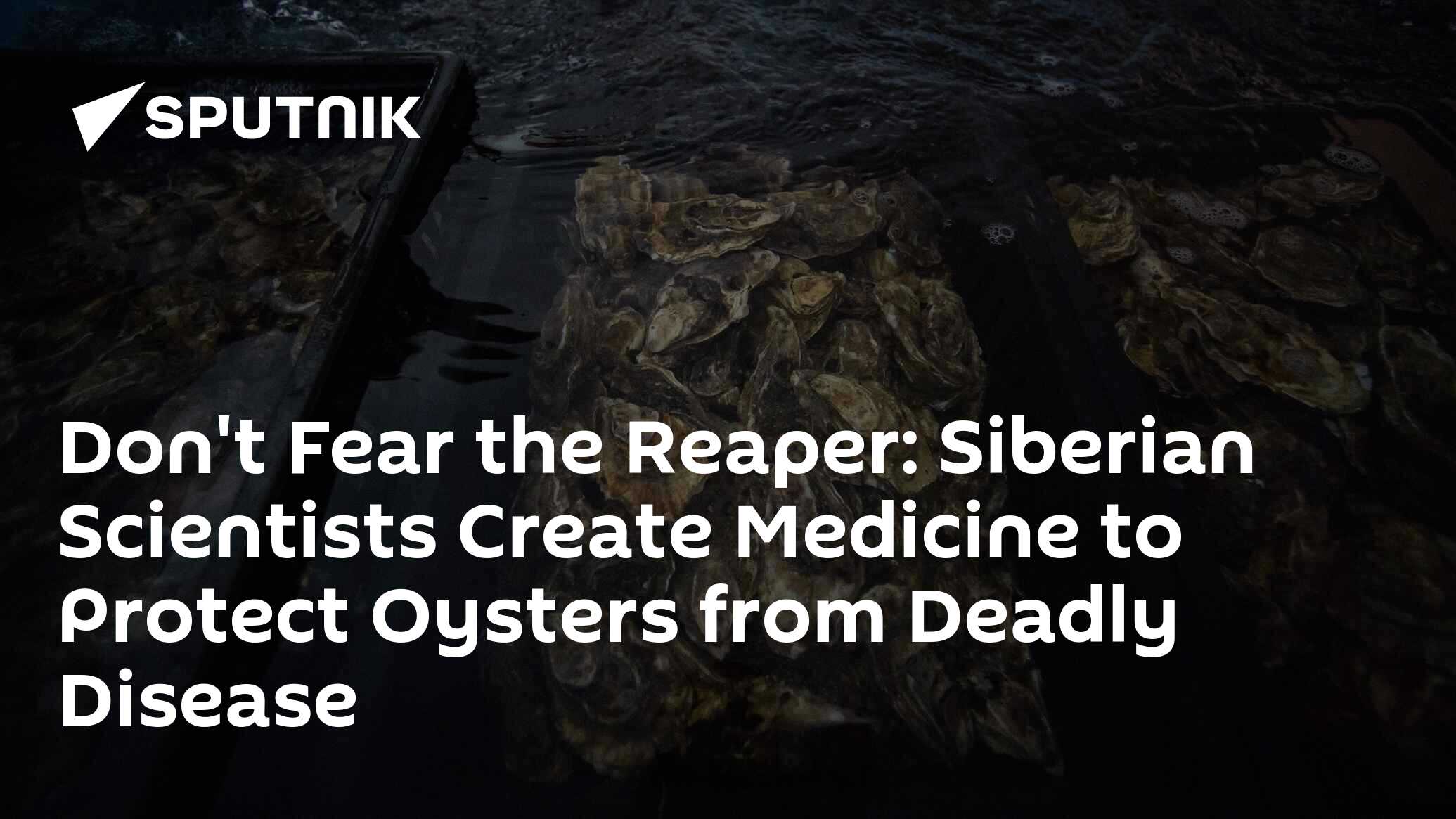 Don't Fear the Reaper Siberian Scientists Create Medicine to Protect