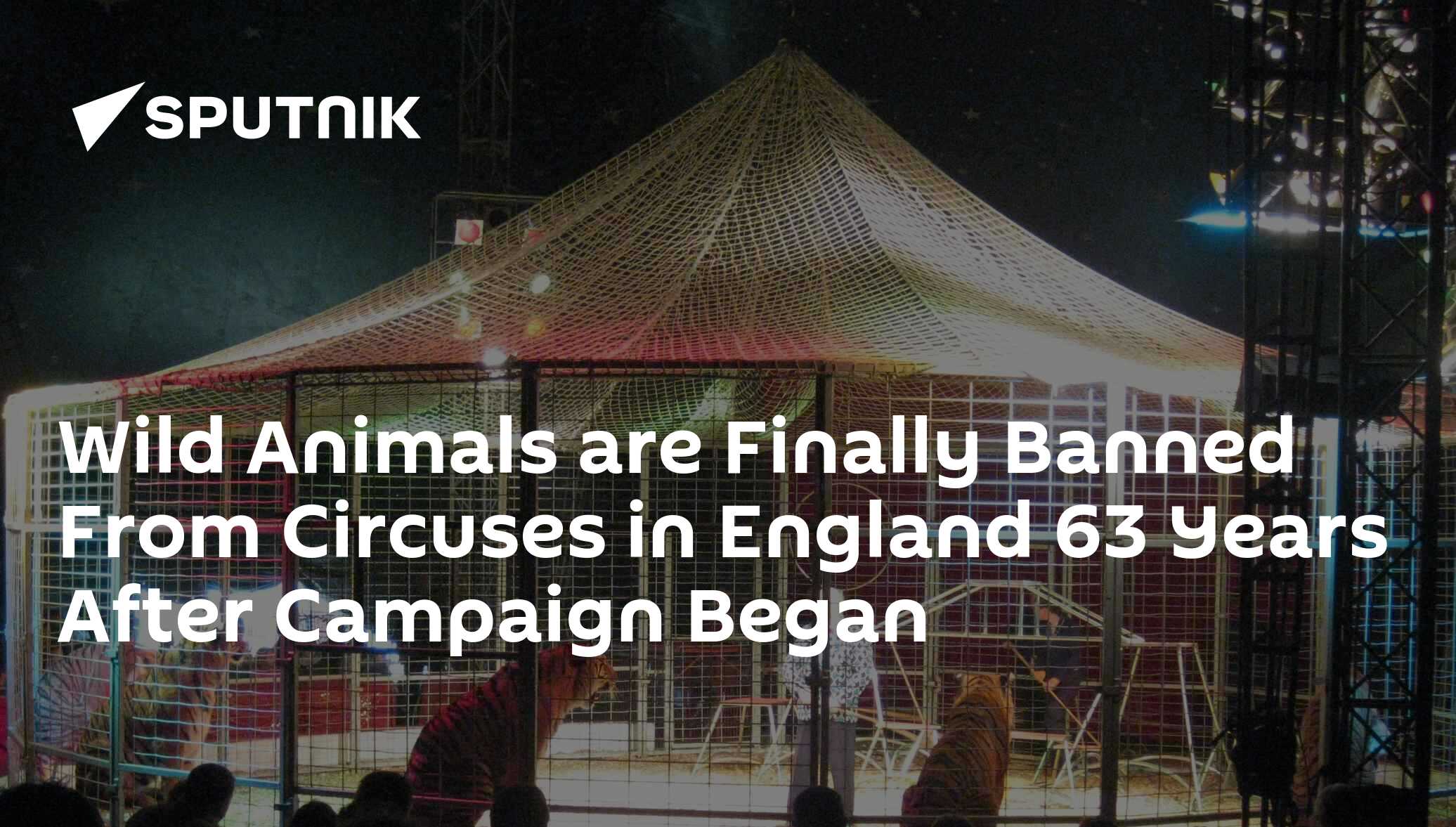 Wild Animals are Finally Banned From Circuses in England 63 Years After