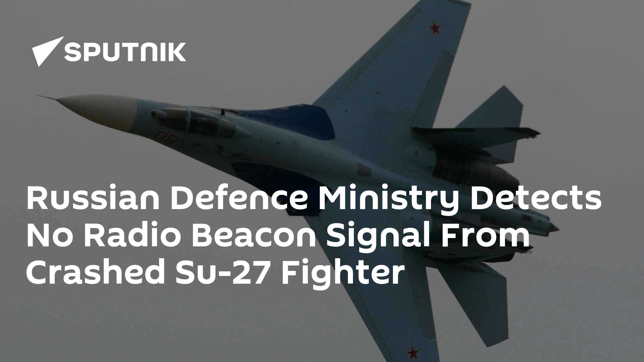 Russian Defence Ministry Detects No Radio Beacon Signal From Crashed Su ...