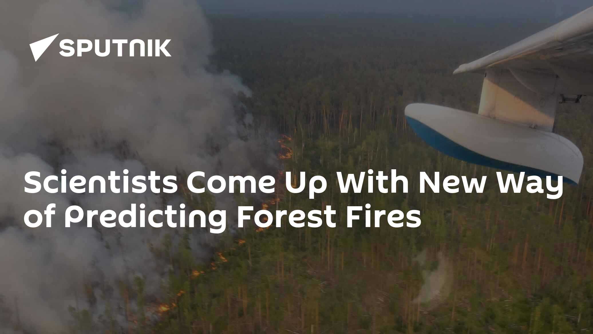 Scientists Come Up With New Way Of Predicting Forest Fires