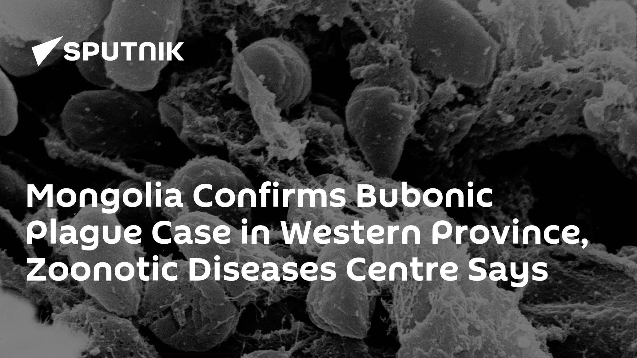 Mongolia Confirms Bubonic Plague Case in Western Province, Zoonotic