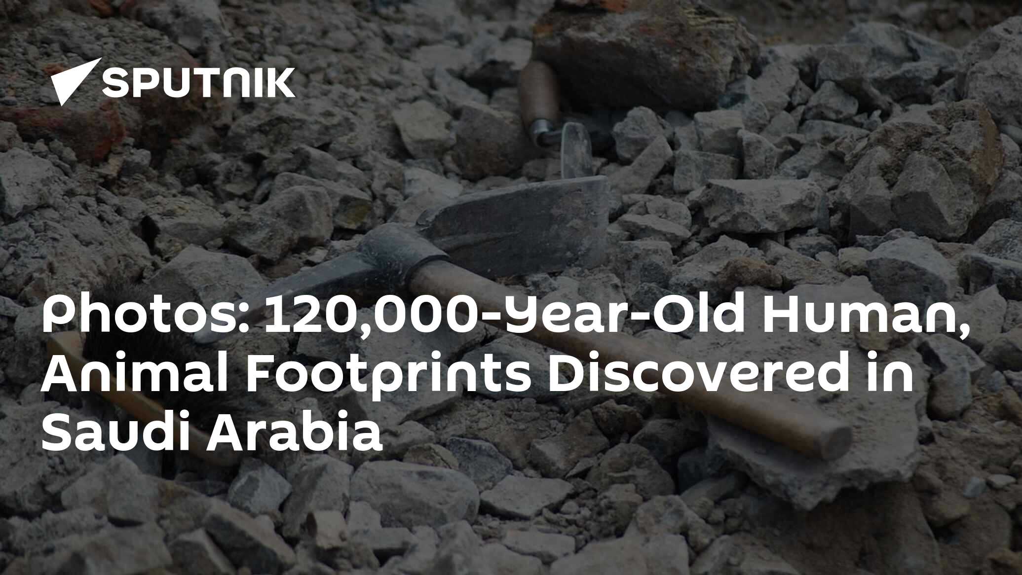 Photos 120,000YearOld Human, Animal Footprints Discovered in Saudi