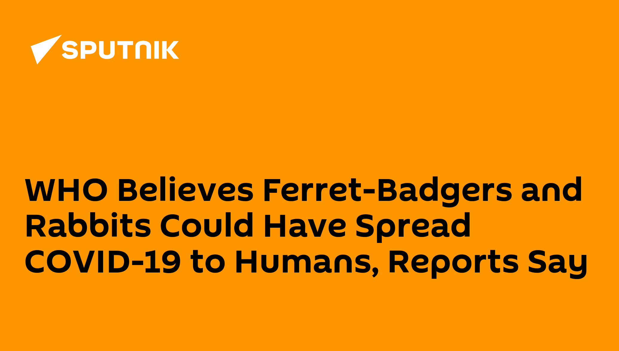WHO Believes Ferret-Badgers and Rabbits Could Have Spread COVID-19 to ...
