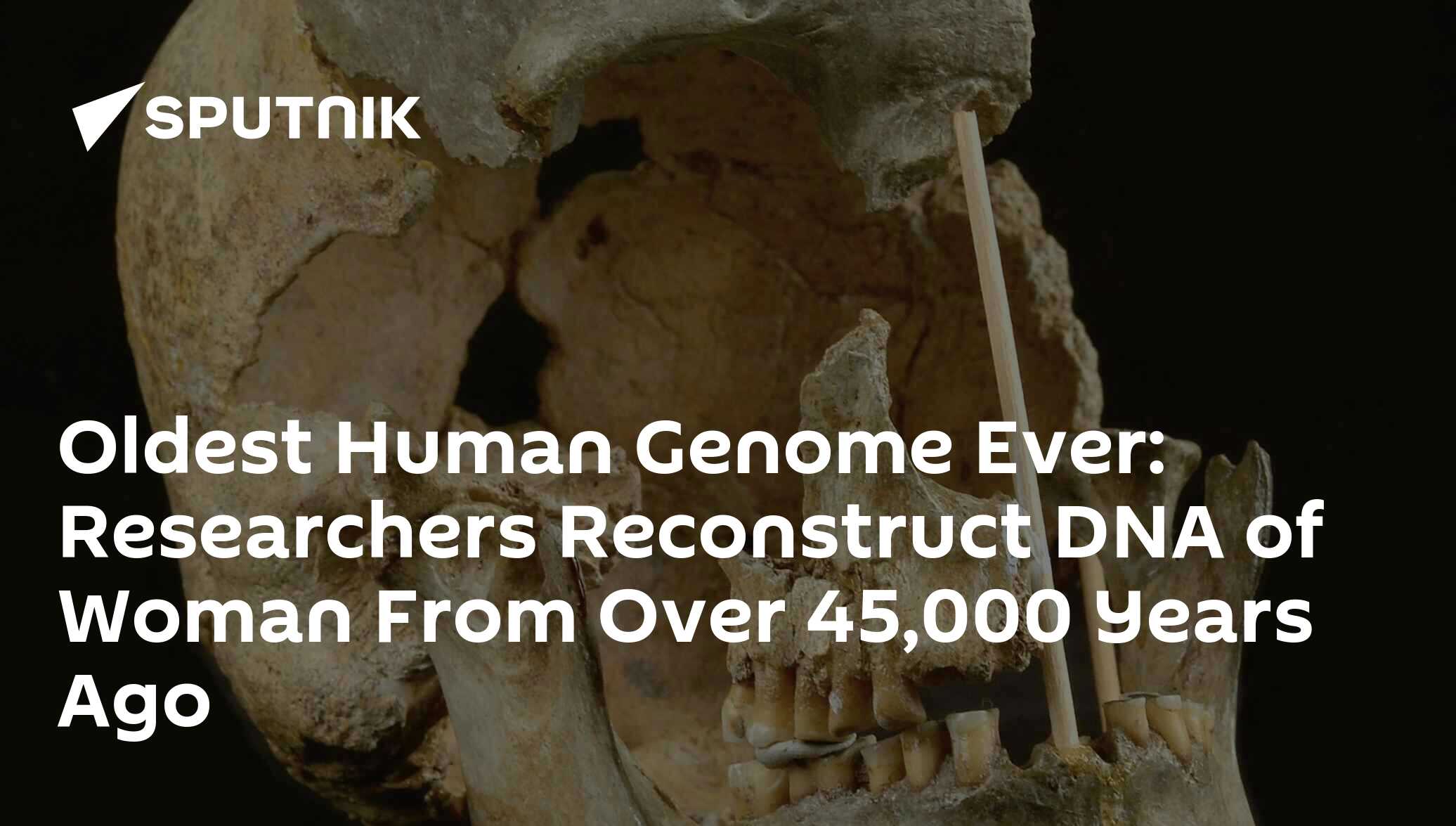 Oldest Human Genome Ever Researchers Reconstruct DNA Of Woman From   1082573565 