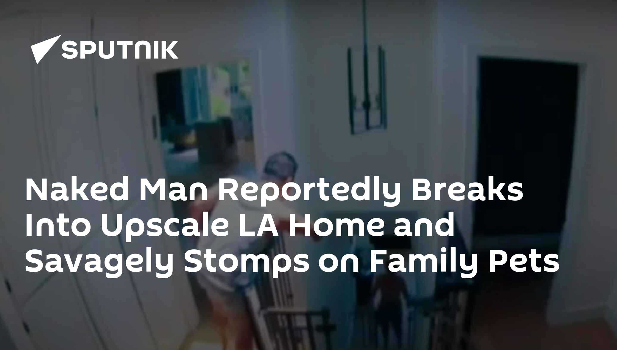 Naked Man Reportedly Breaks Into Upscale LA Home and Savagely Stomps on  Family Pets - 21.06.2021, Sputnik International