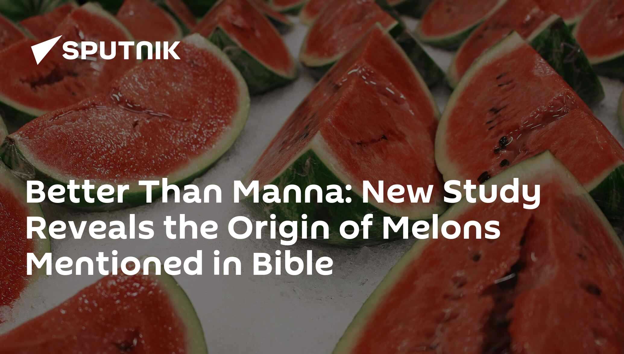 Better Than Manna New Study Reveals the Origin of Melons Mentioned in