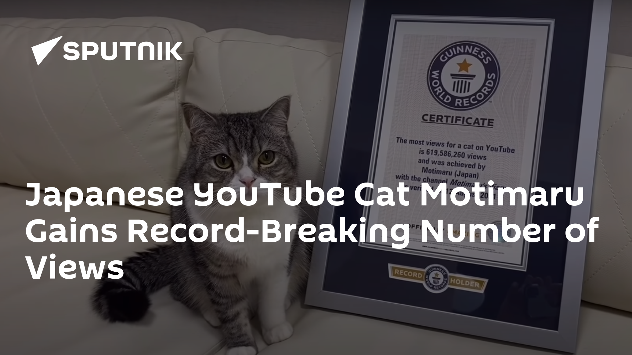Japanese YouTube Cat Motimaru Gains RecordBreaking Number of Views