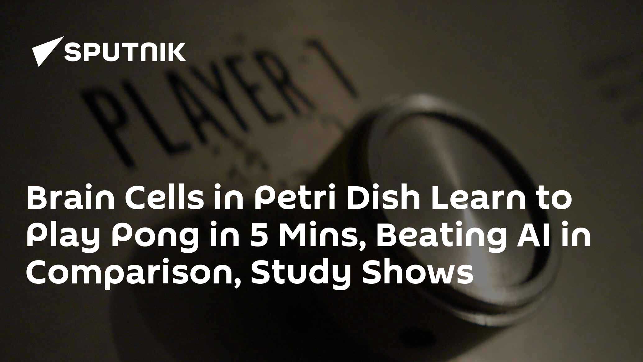 Study Brain Cells in Dish Learn to Play Pong in 5 Mins, Beating AI