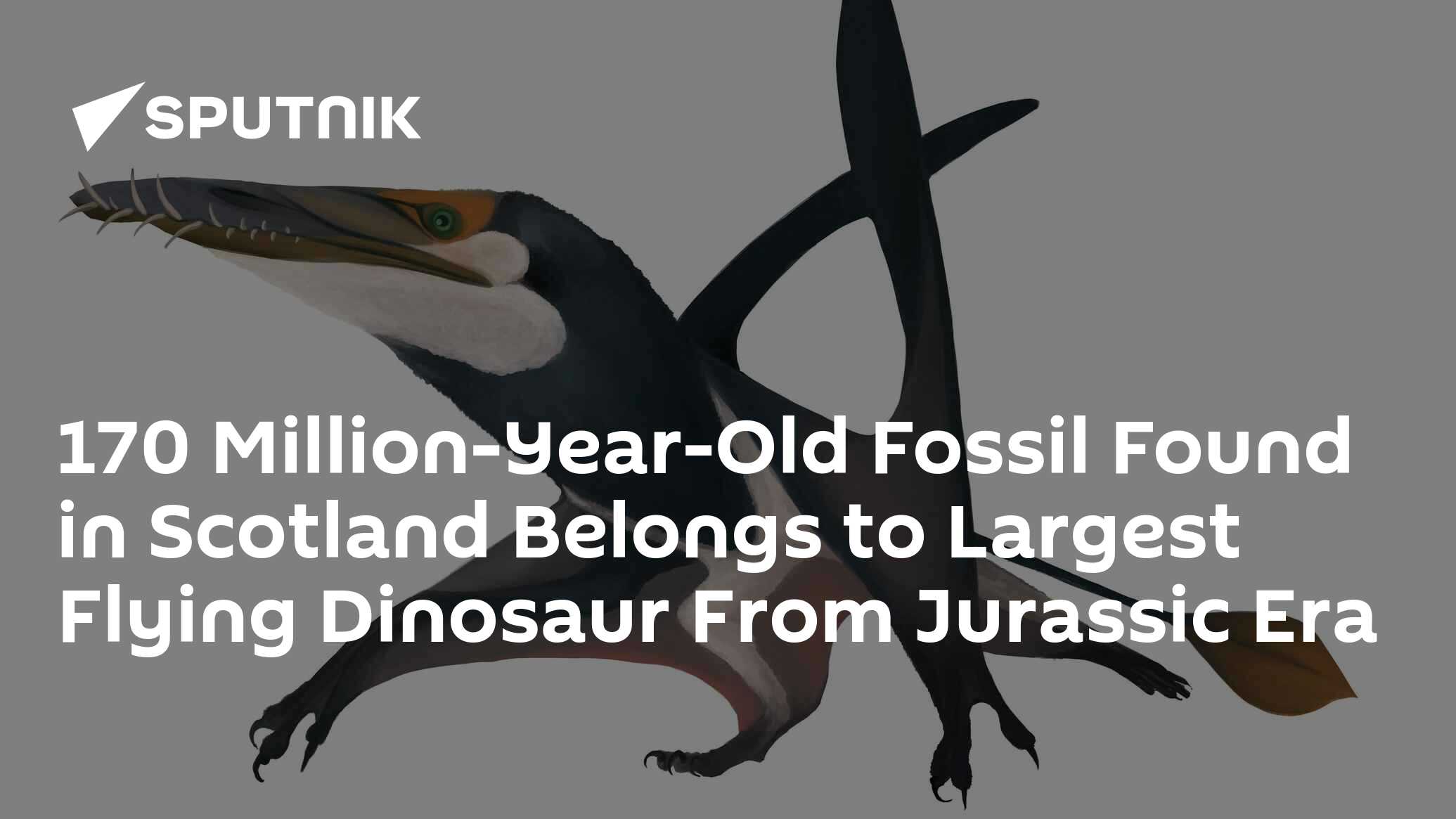 Fossil of giant flying reptile discovered in Scotland