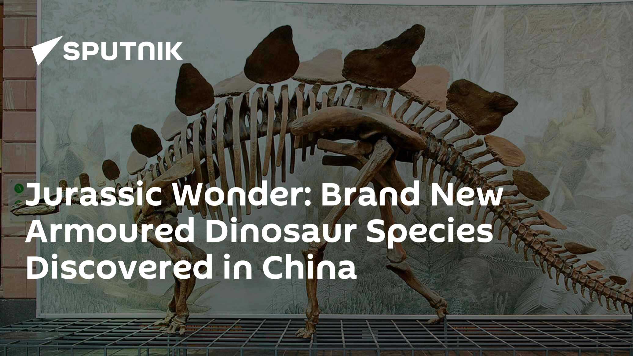 Jurassic Wonder: Brand New Armoured Dinosaur Species Discovered in China