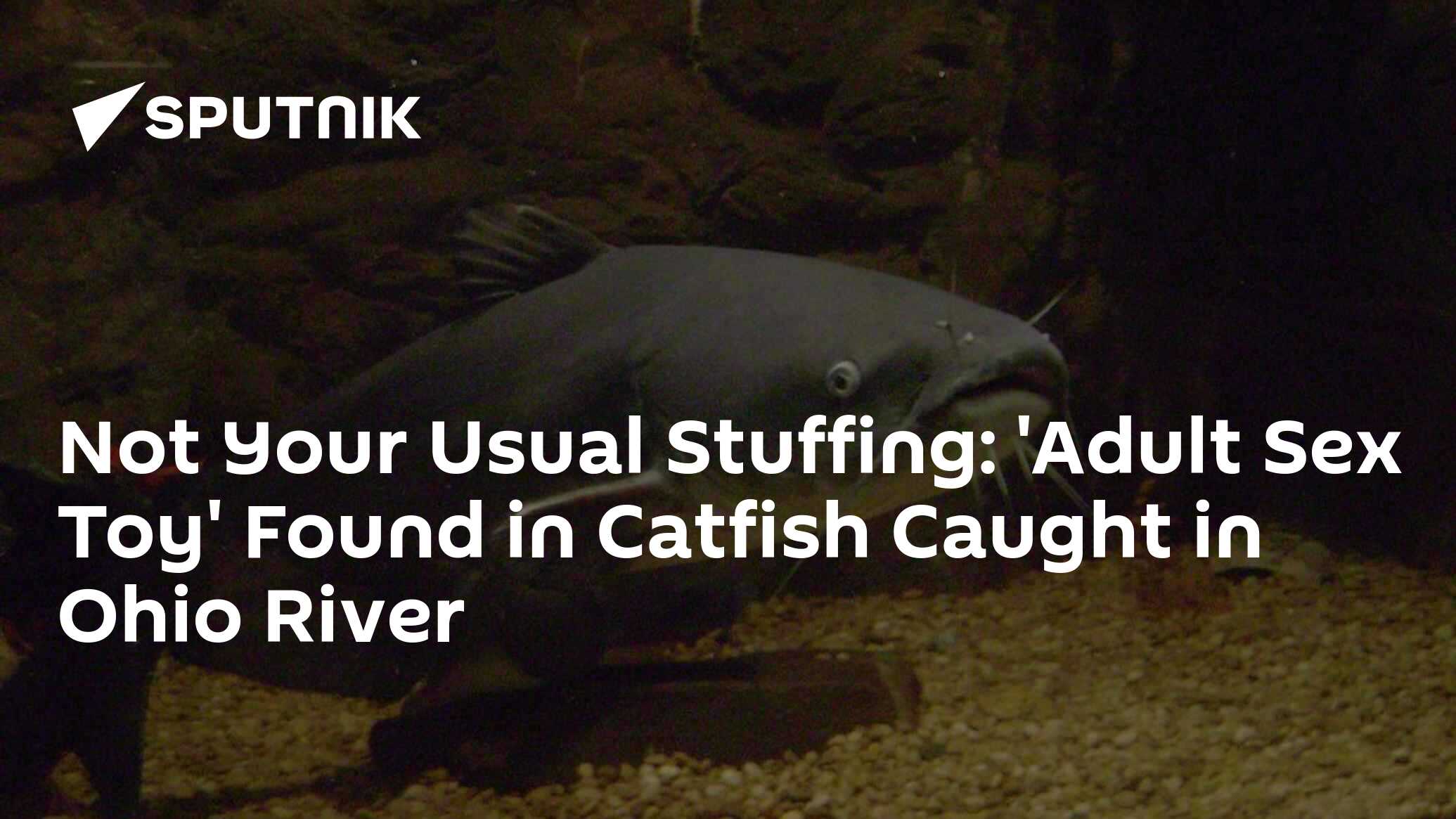 Not Your Usual Stuffing Adult Sex Toy Found in Catfish Caught