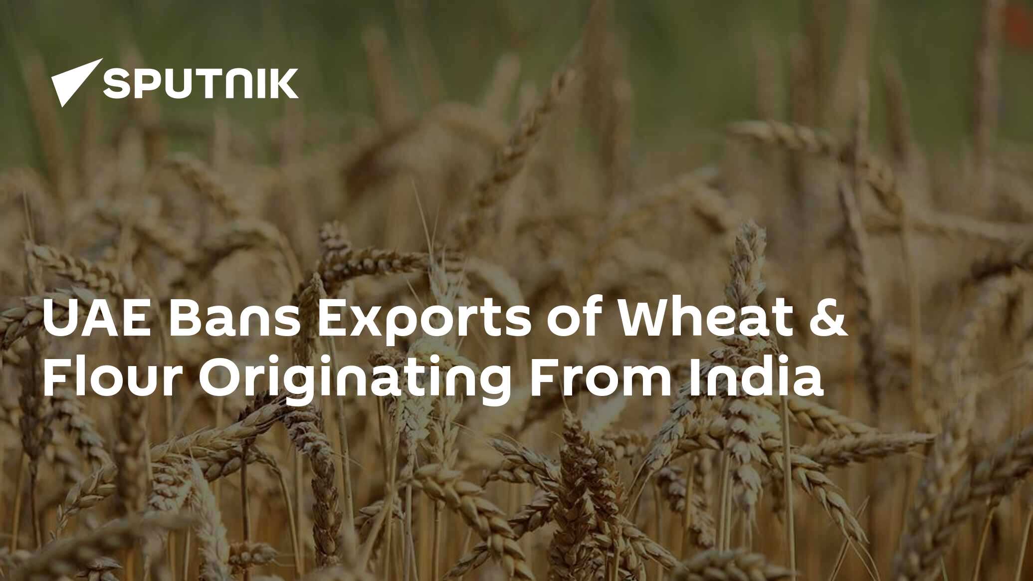 UAE Bans Exports of Wheat & Flour Originating From India 15.06.2022