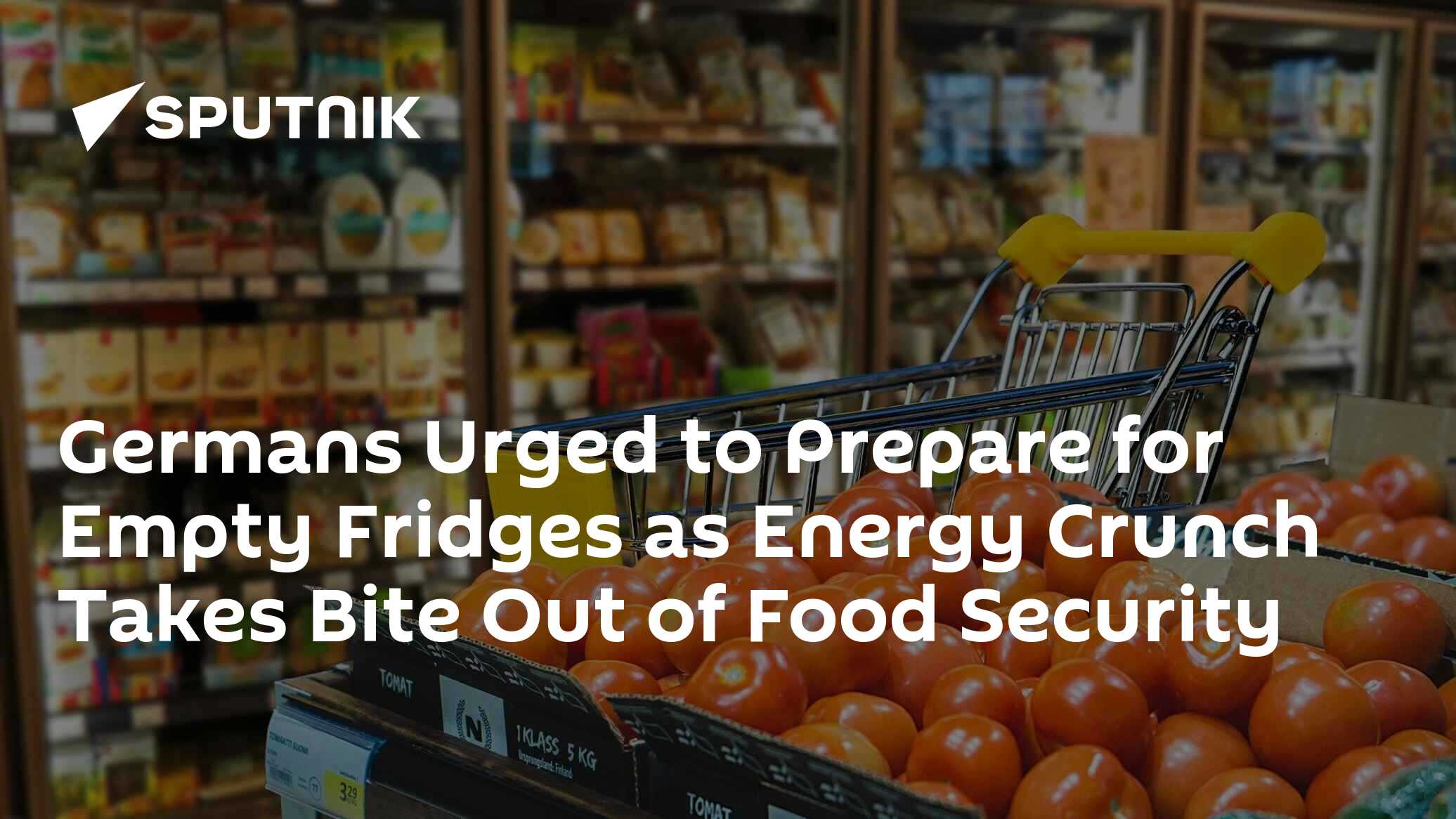 Germans Urged to Prepare for Empty Fridges as Energy Crunch Takes Bite