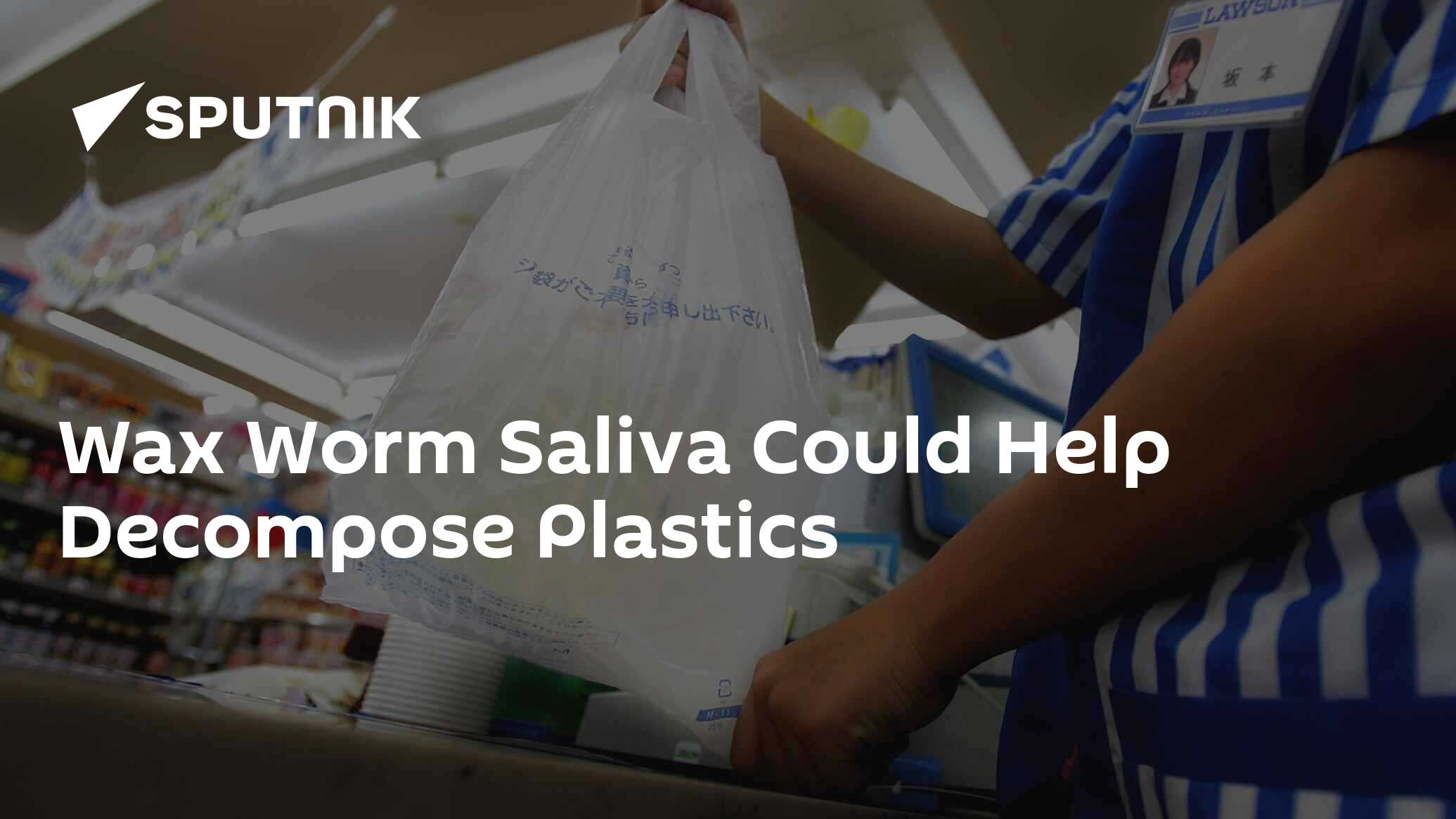 Wax Worm Saliva Could Help Plastics 05.10.2022, Sputnik