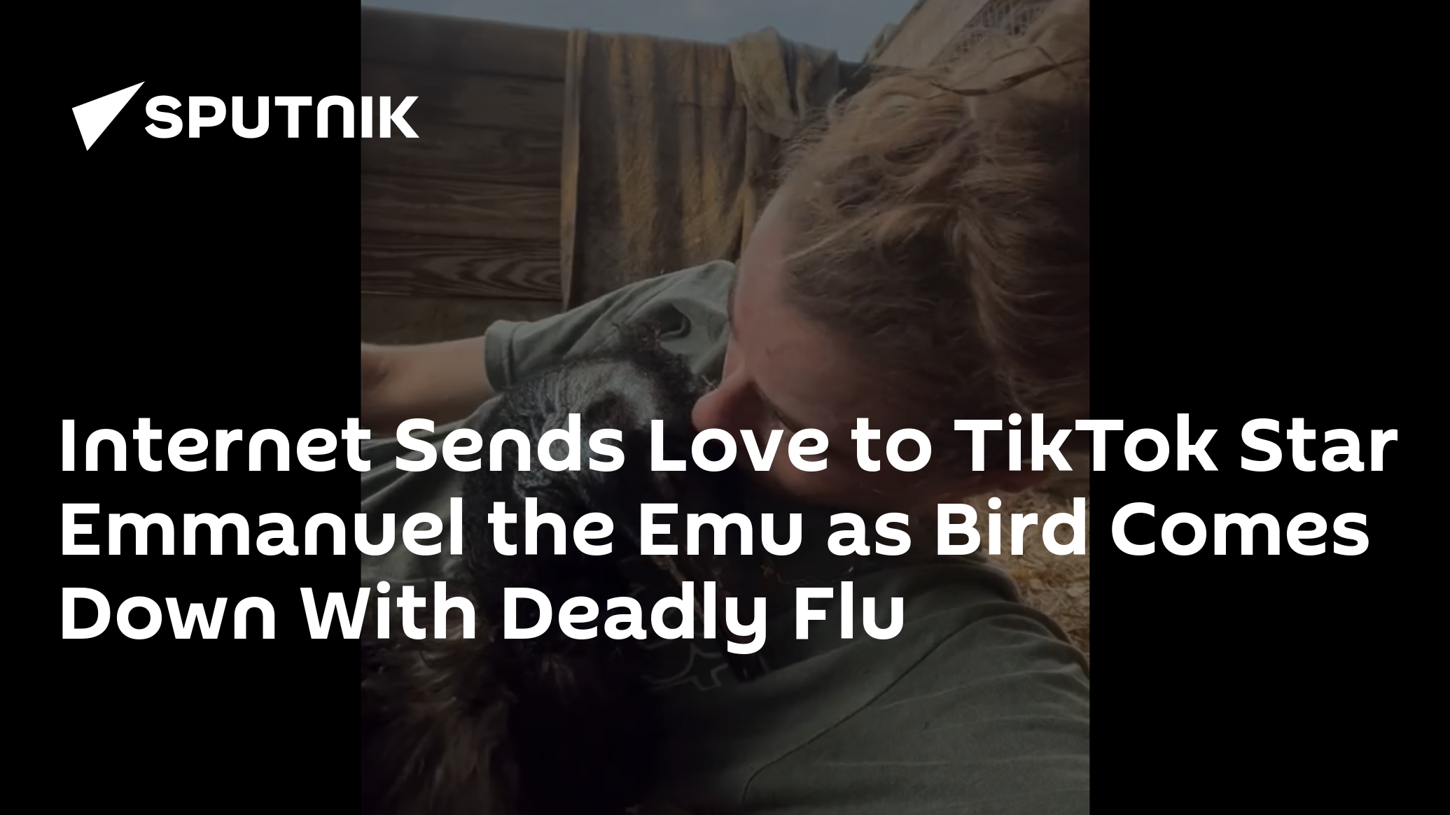 Internet Sends Love To Tiktok Star Emmanuel The Emu As Bird Comes Down With Deadly Flu 1610